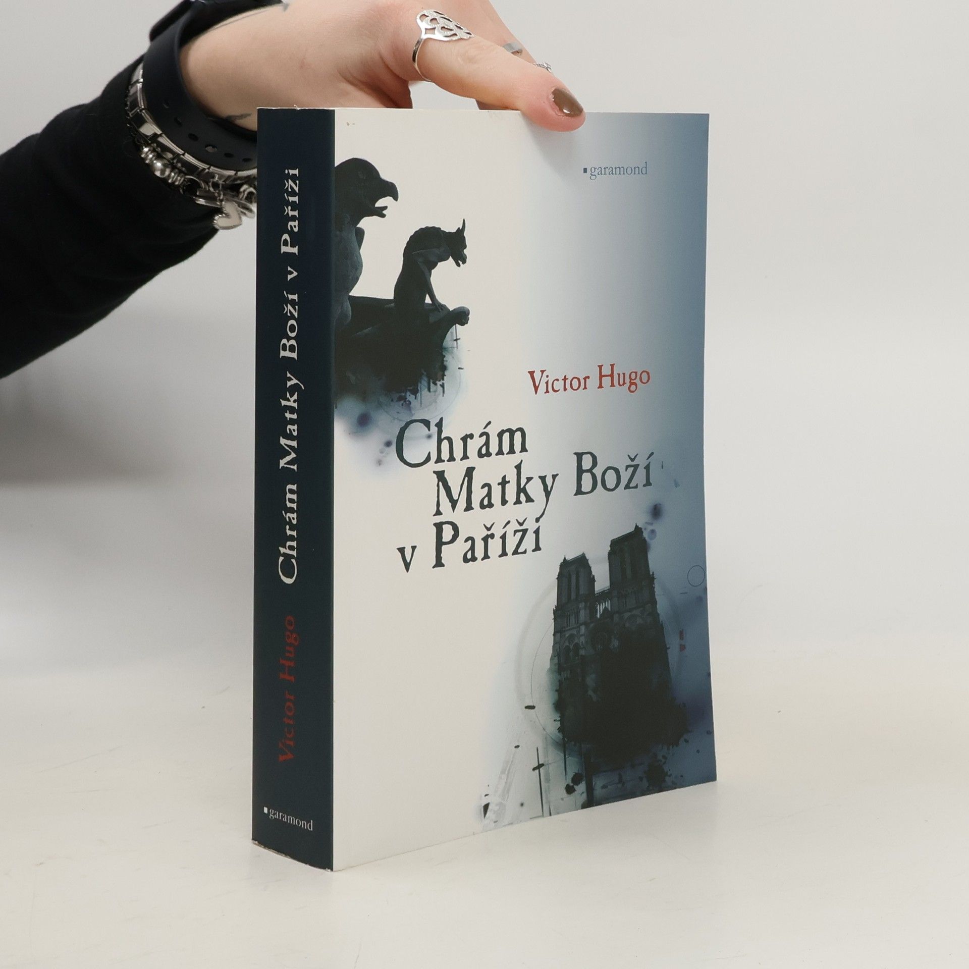 Victor Hugo Chrám Matky Boží v Paříži