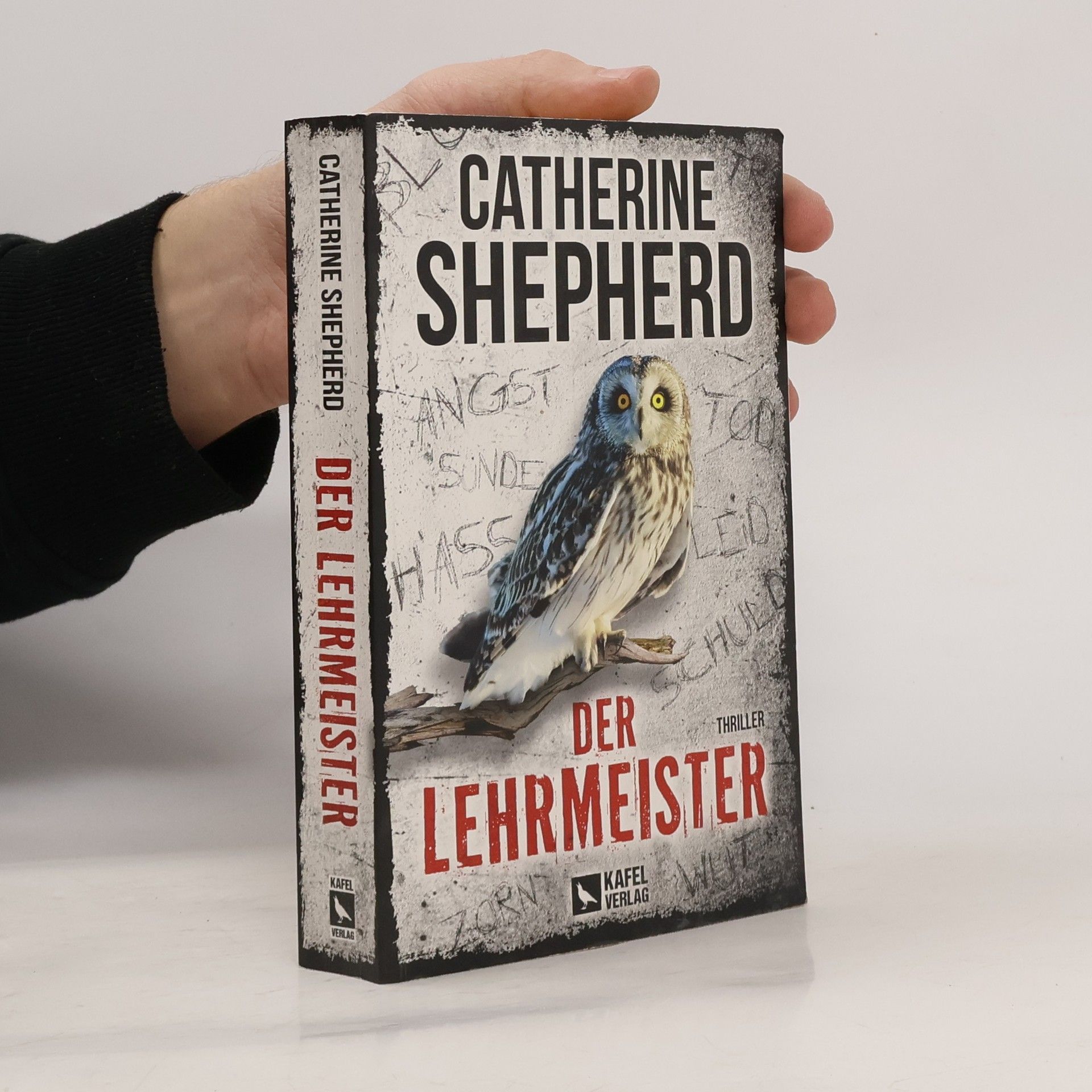 Catherine Shepherd Der Lehrmeister