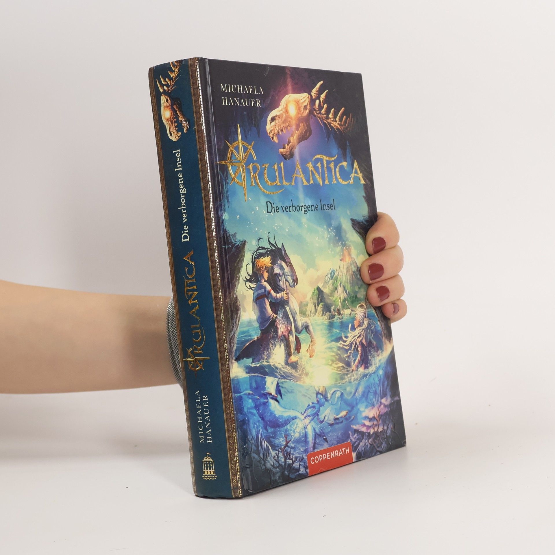 Michaela Hanauer Die verborgene Insel