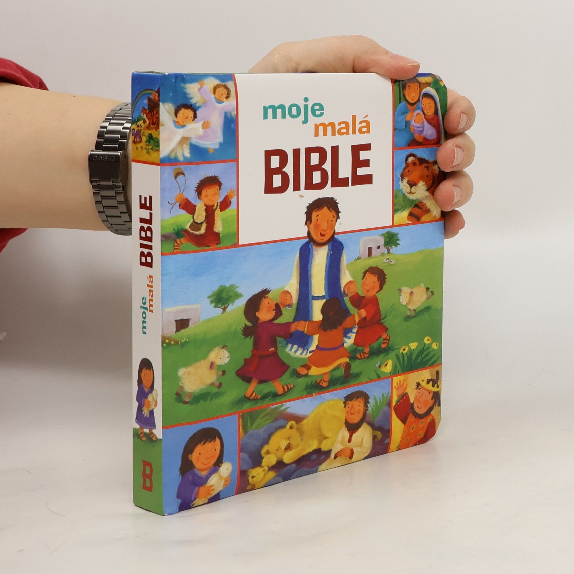 Christina Goodings Moje malá bible