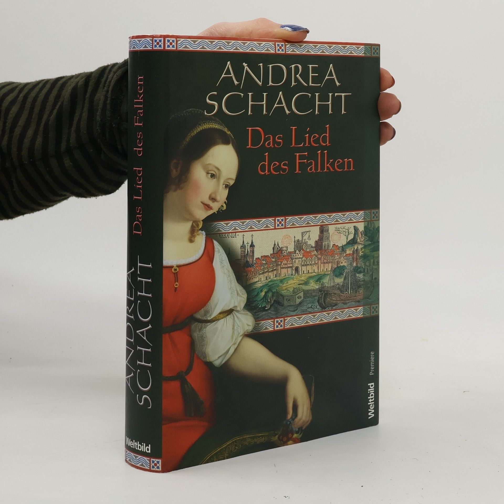 Andrea Schacht Das Lied des Falken