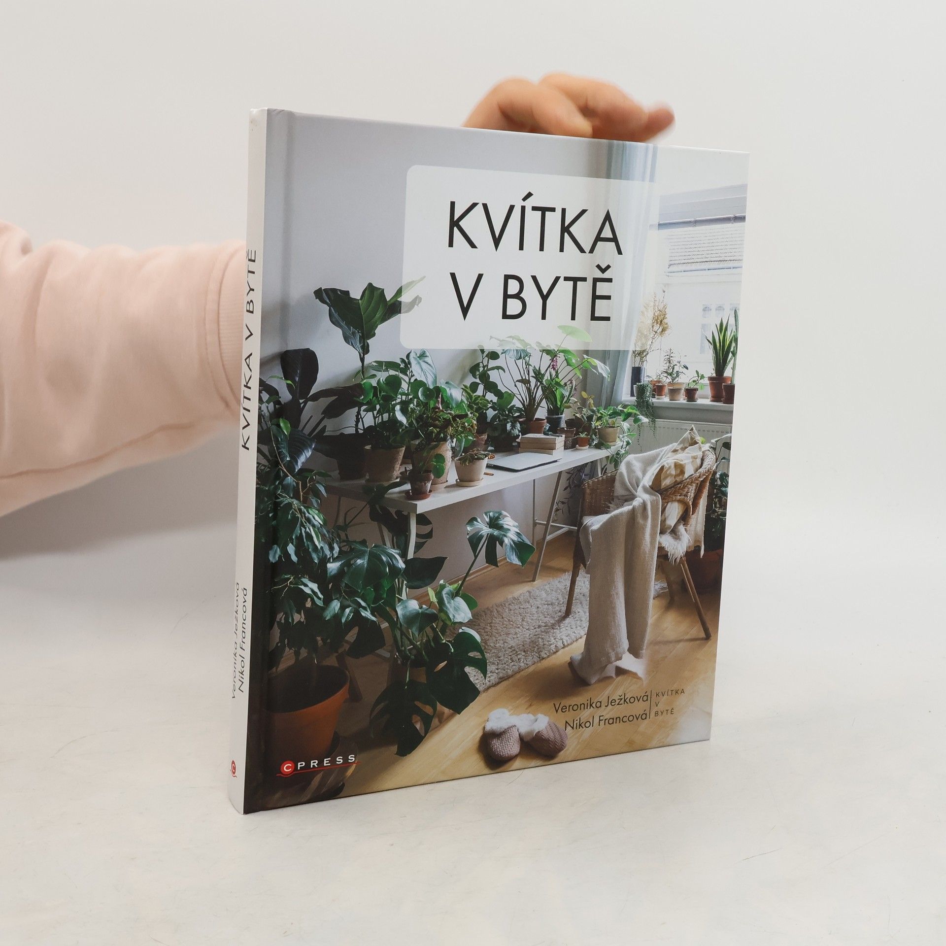 Veronika Ježková Kvítka v bytě