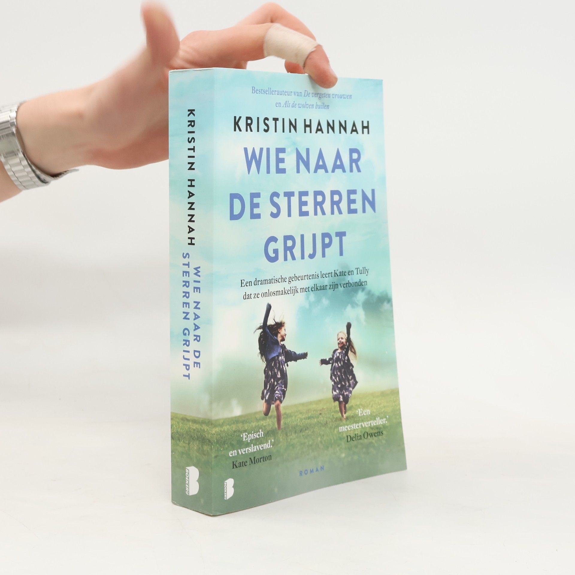 Kristin Hannah Wie naar de sterren grijpt