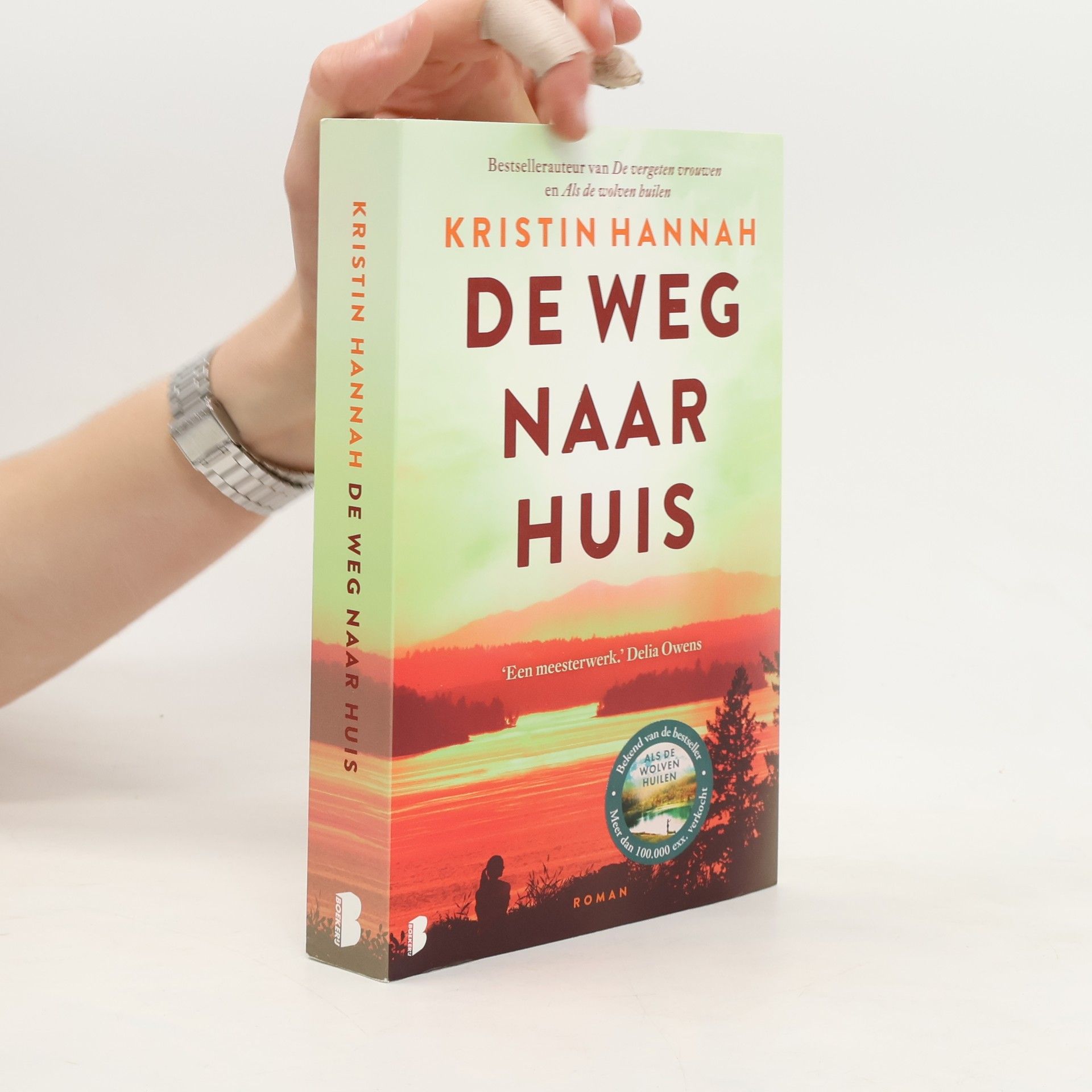 Kristin Hannah De weg naar huis