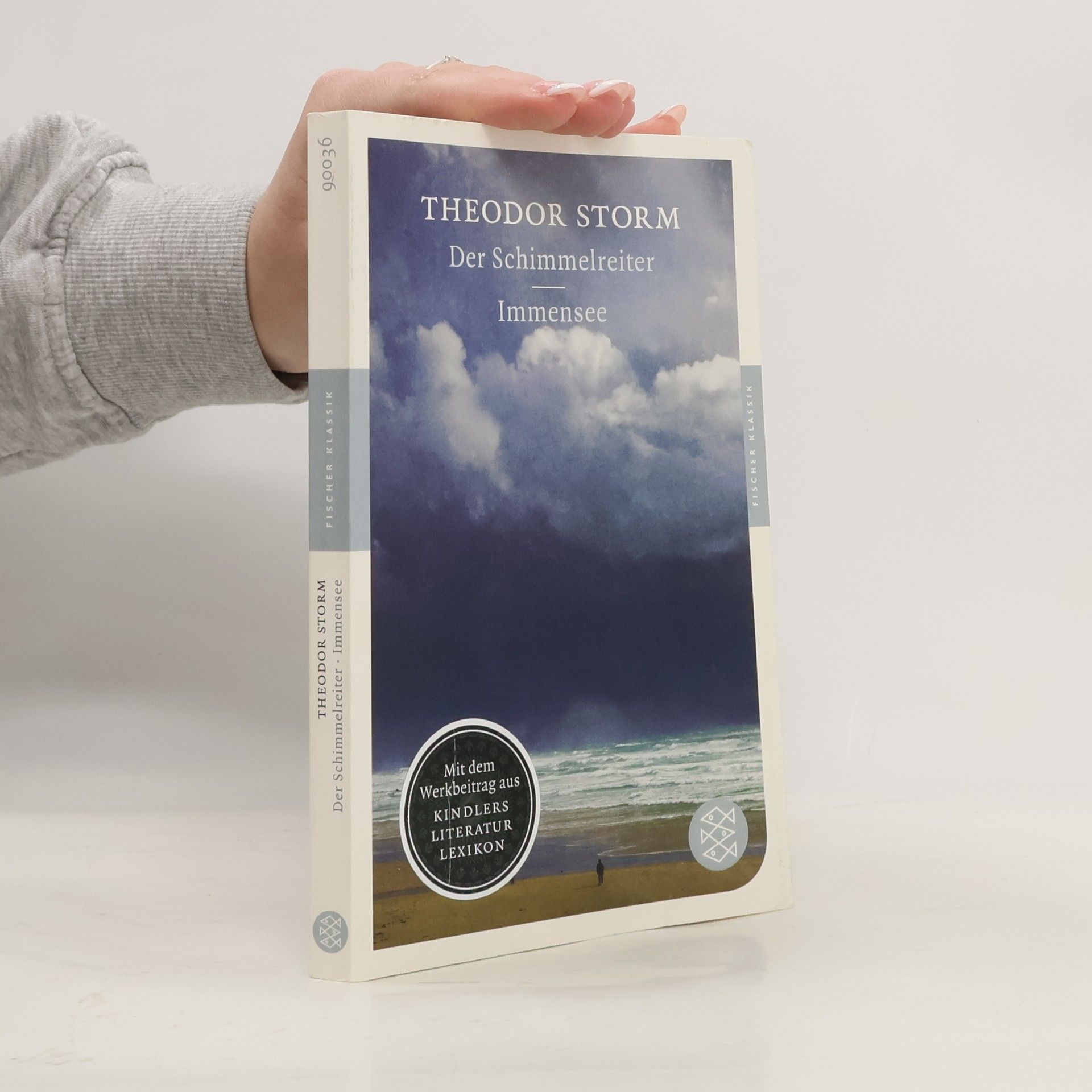 Theodor Storm Der Schimmelreiter. Immensee - Mit dem Werkbeitrag aus Kindlers Literatur Lexikon