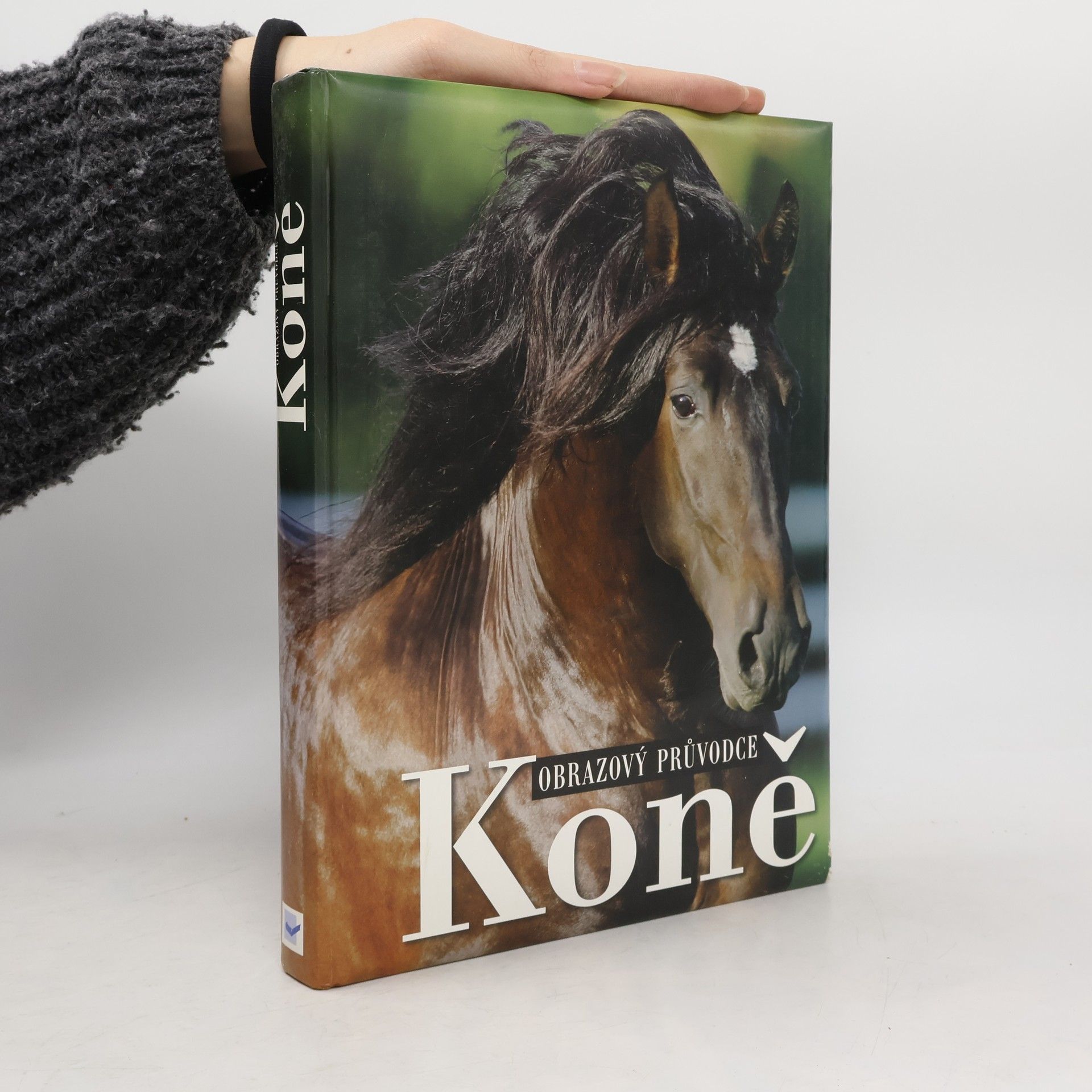 Kolektiv autorů Koně. Obrazový průvodce
