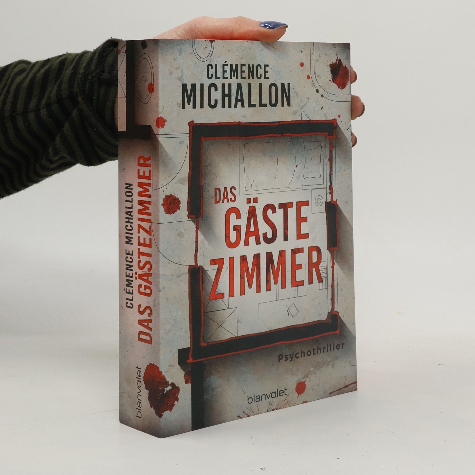 Clémence Michallon Das Gästezimmer