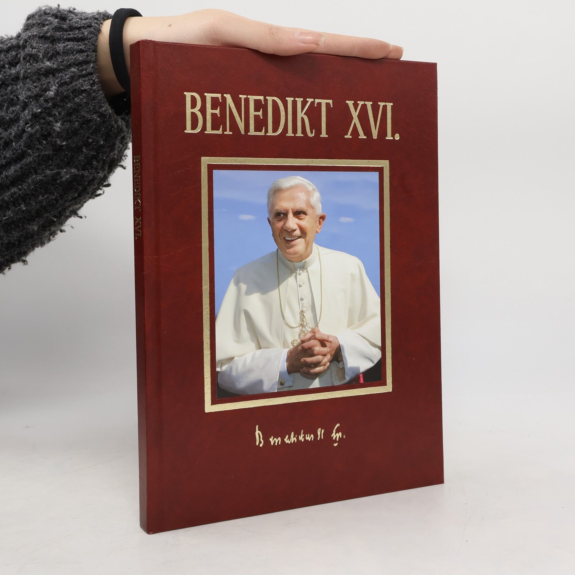 Eva Muroňová Benedikt XVI. - Most mezi břehy