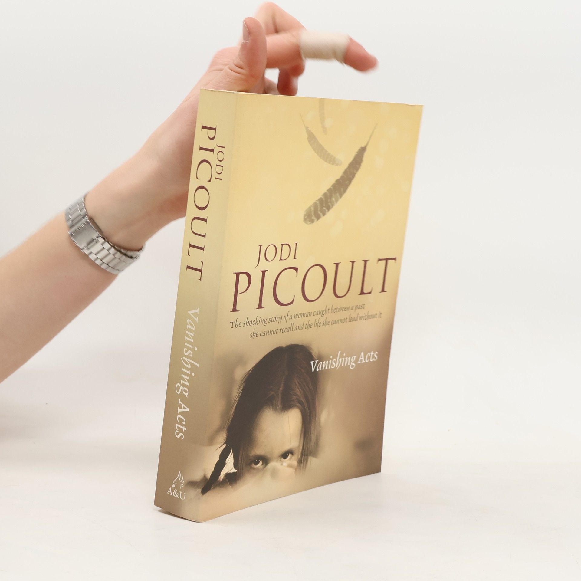 Jodi Picoult Vanishing Acts