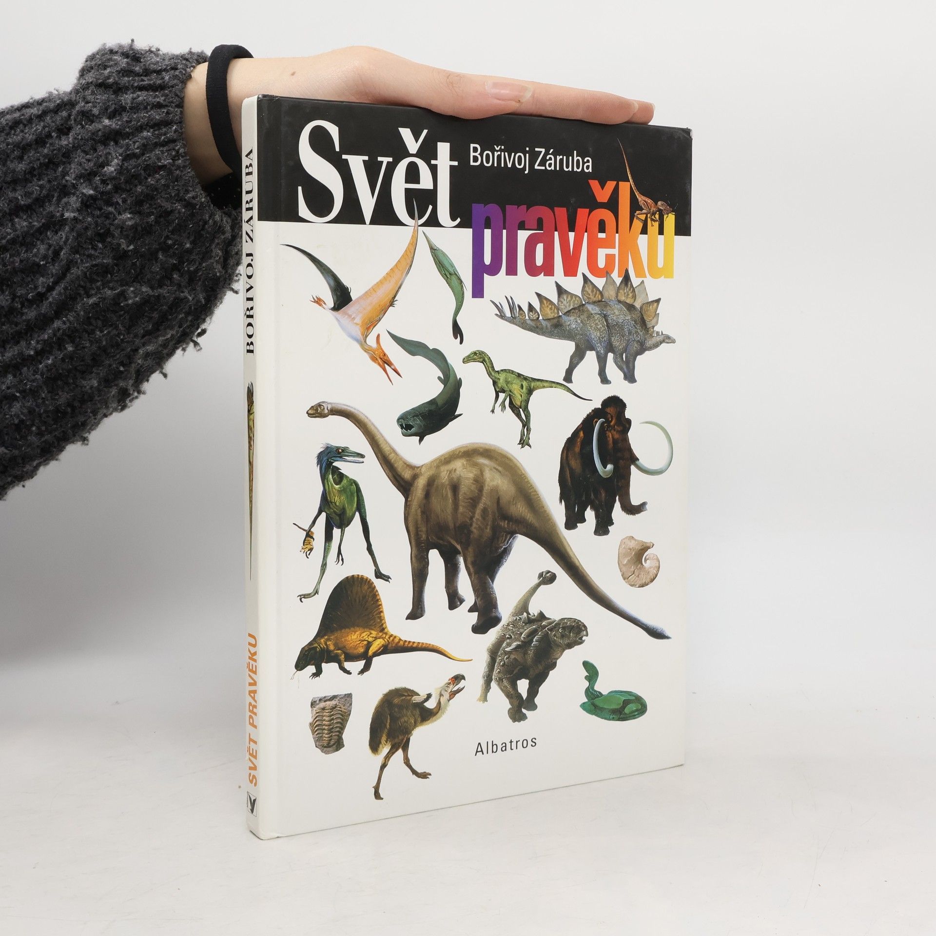 Bořivoj Záruba Svět pravěku