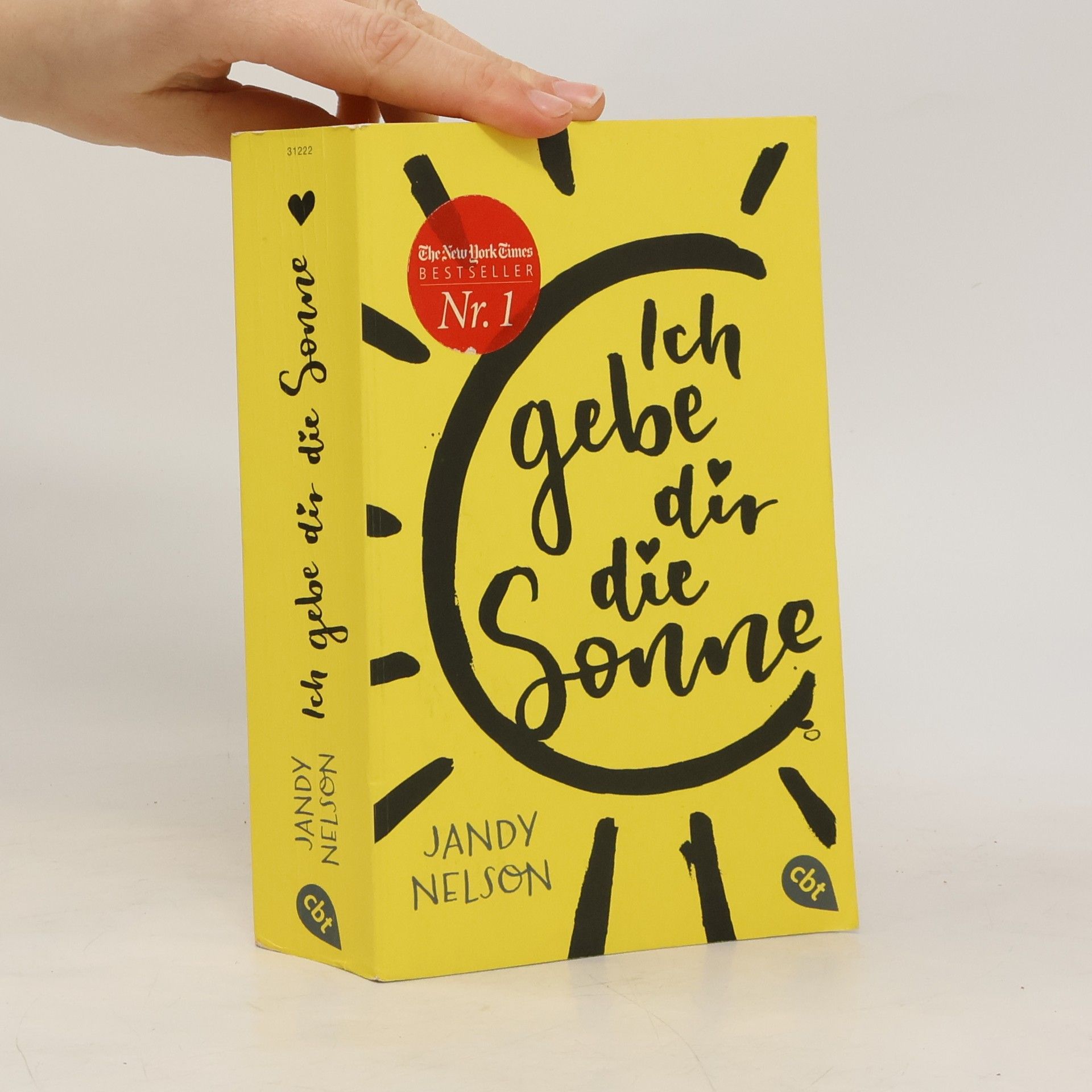 Jandy Nelson Ich gebe dir die Sonne