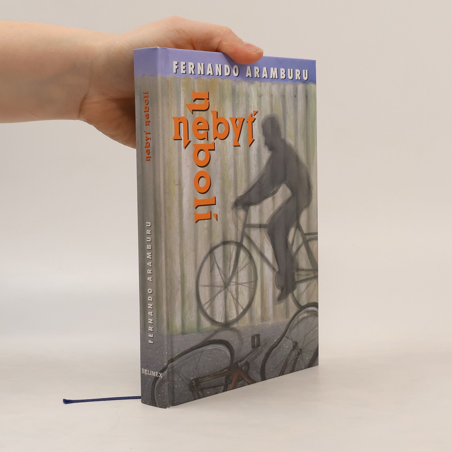 Fernando Aramburu Nebyť nebolí