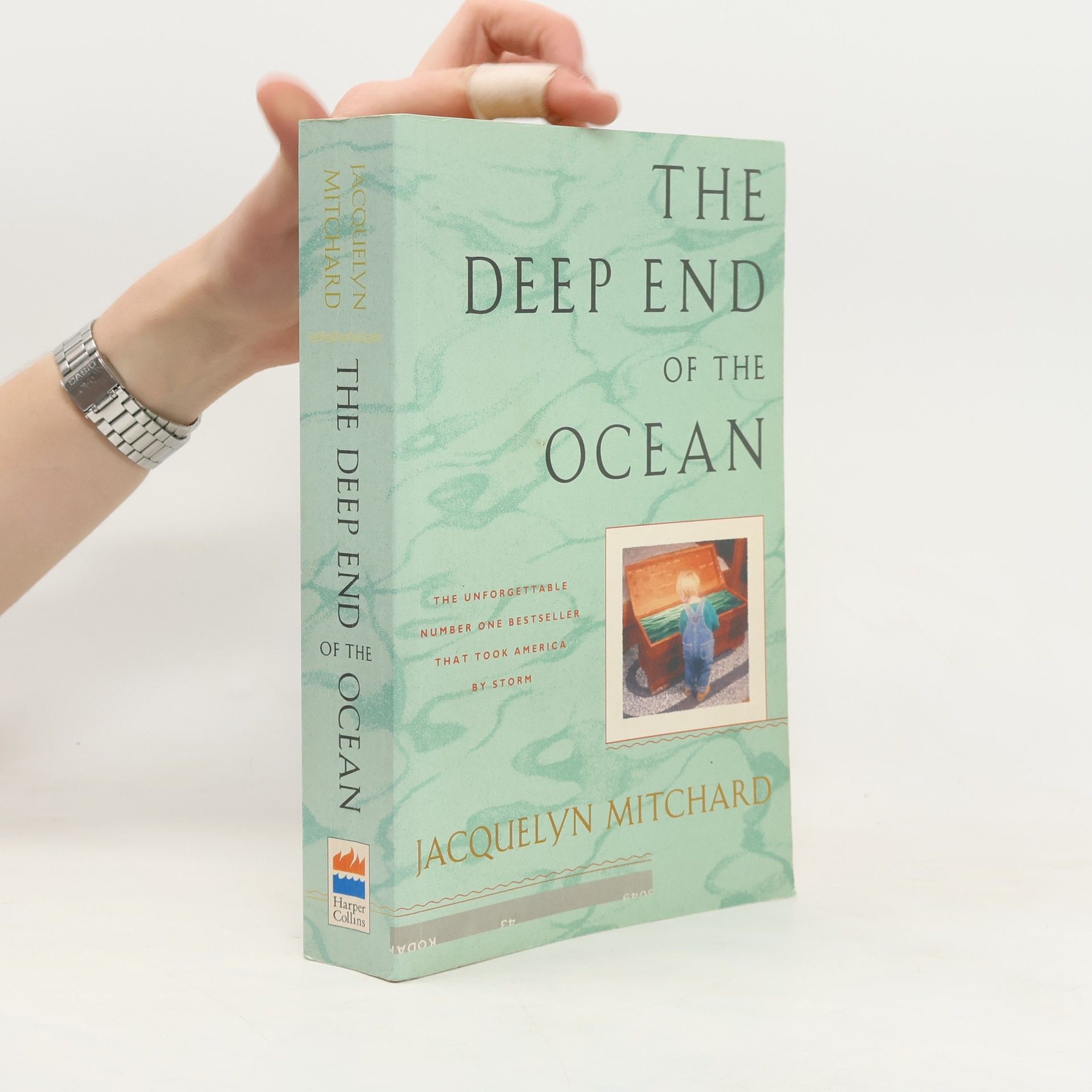 Jacquelyn Mitchard The Deep End of the Ocean