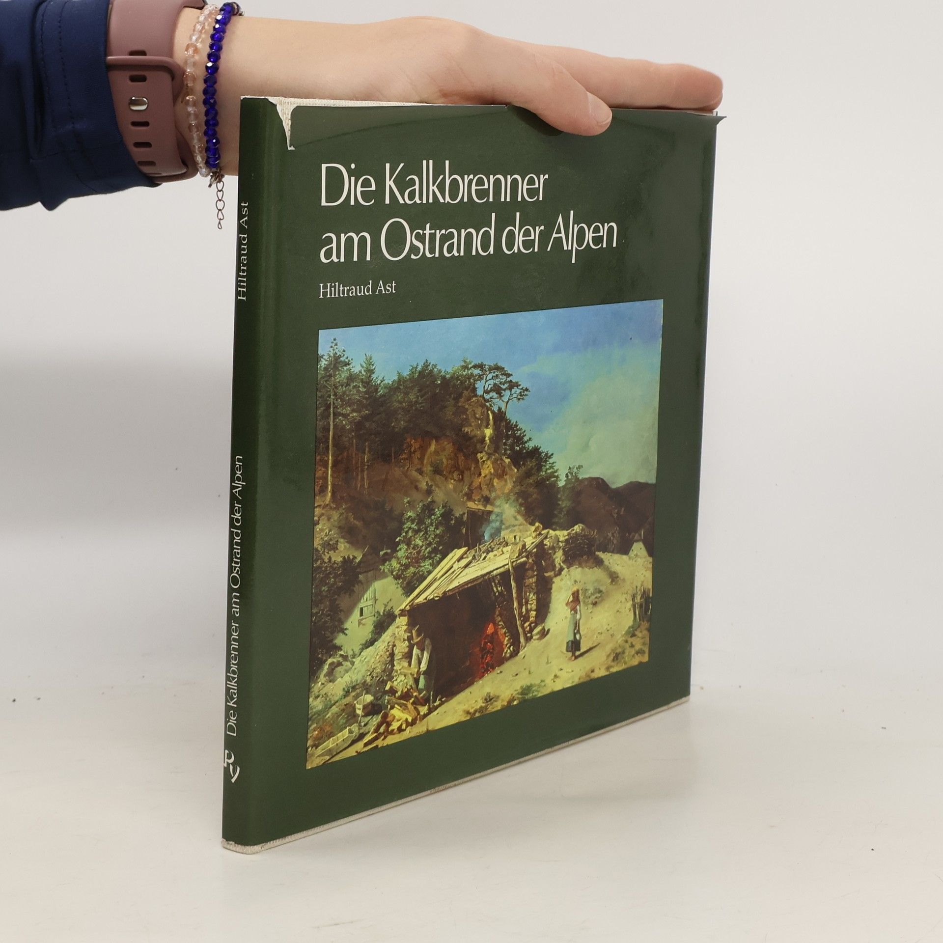 Hiltraud Ast Die Kalkbrenner am Ostrand der Alpen