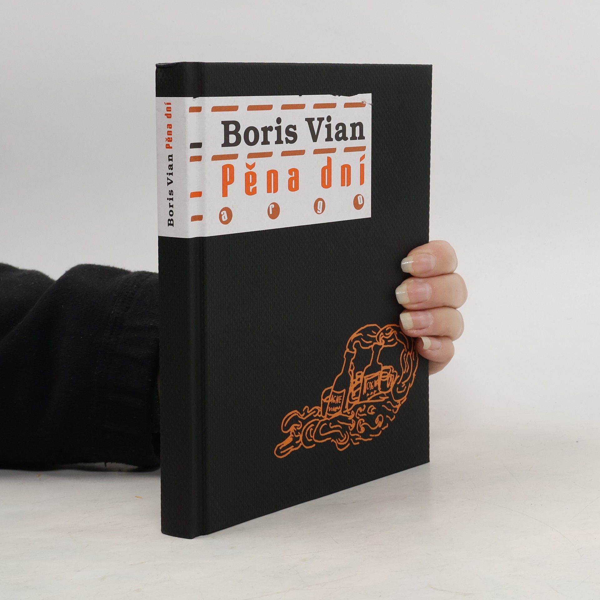 Boris Vian Pěna dní