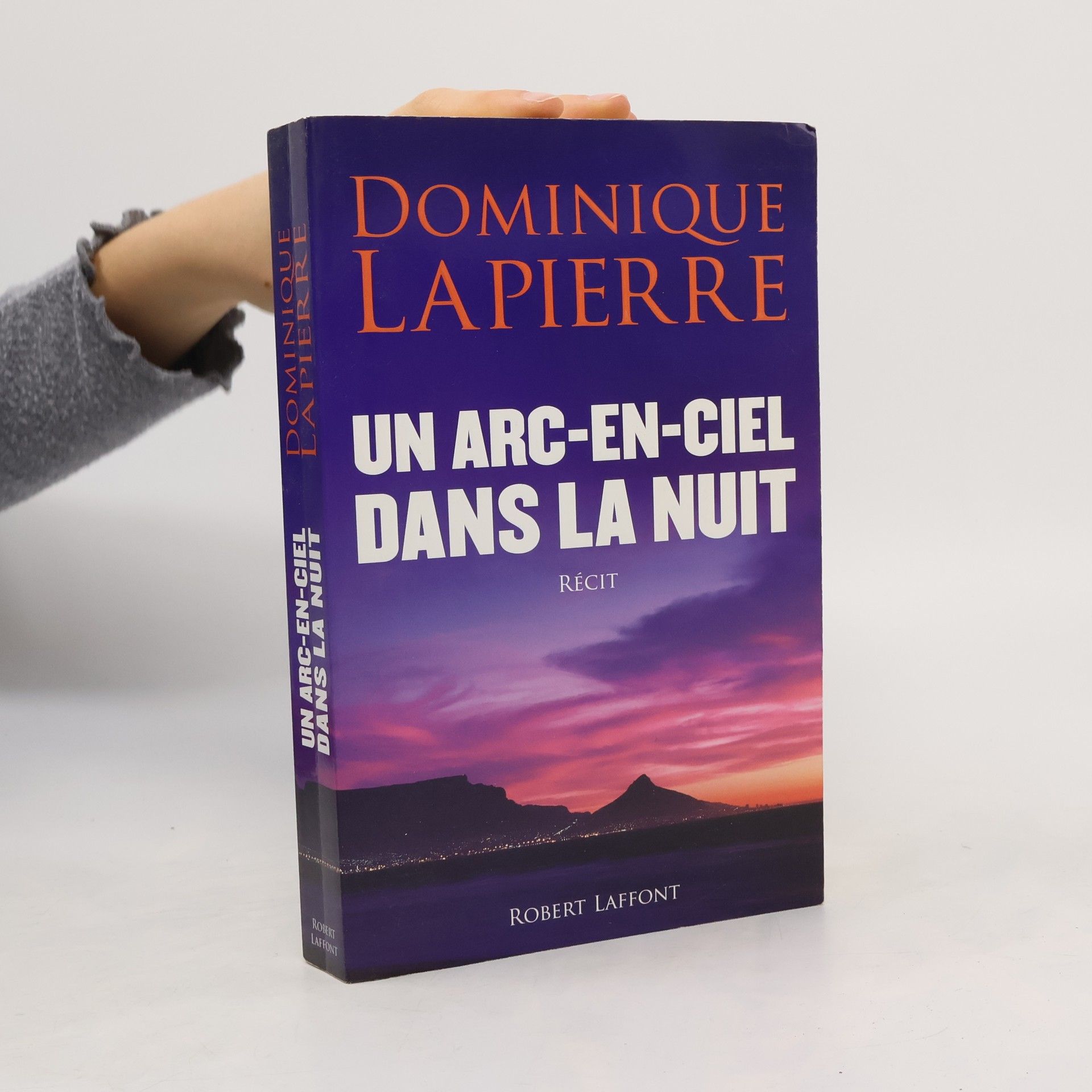 Dominique Lapierre Un arc-en-ciel dans la nuit