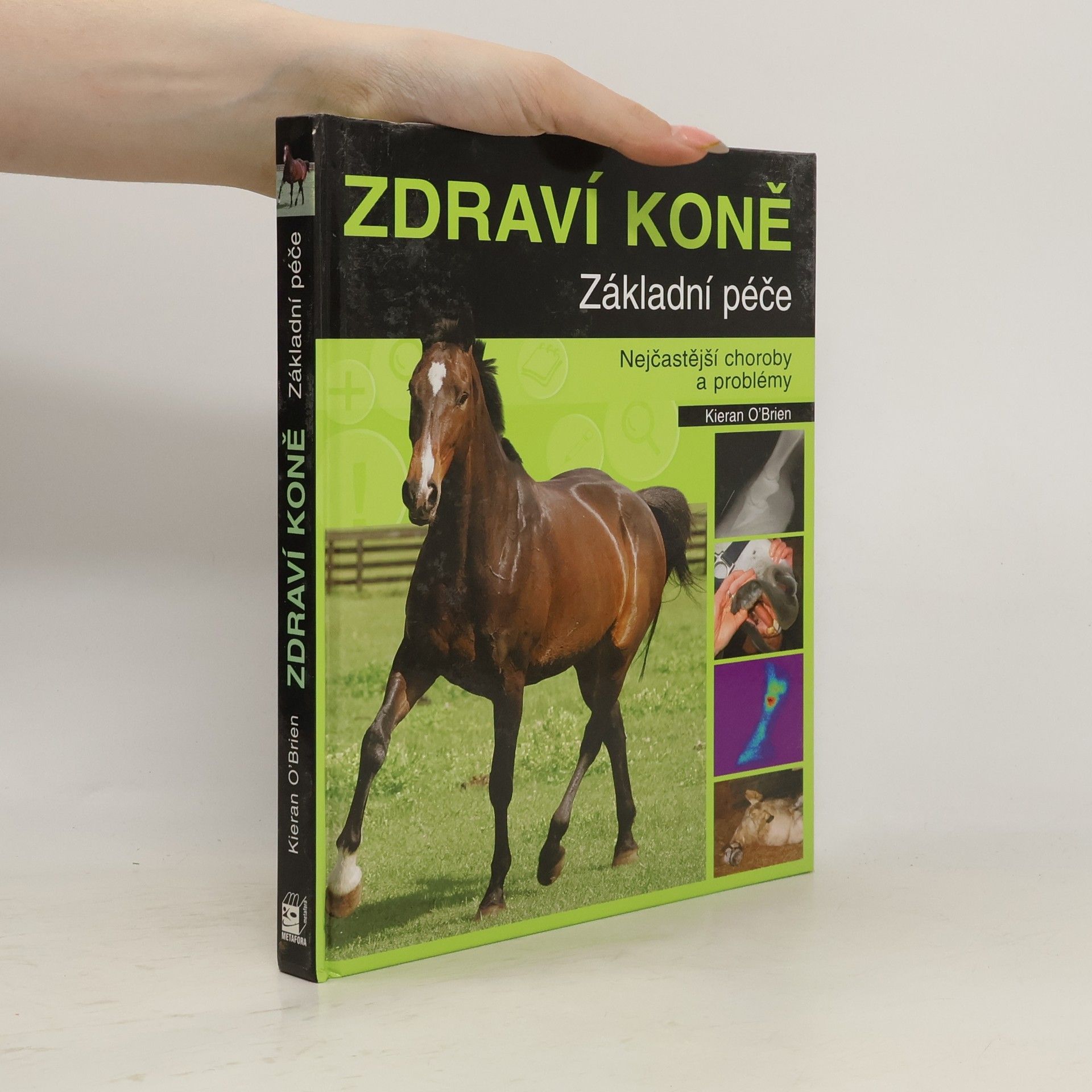 Kieran O. Brien Zdraví koně