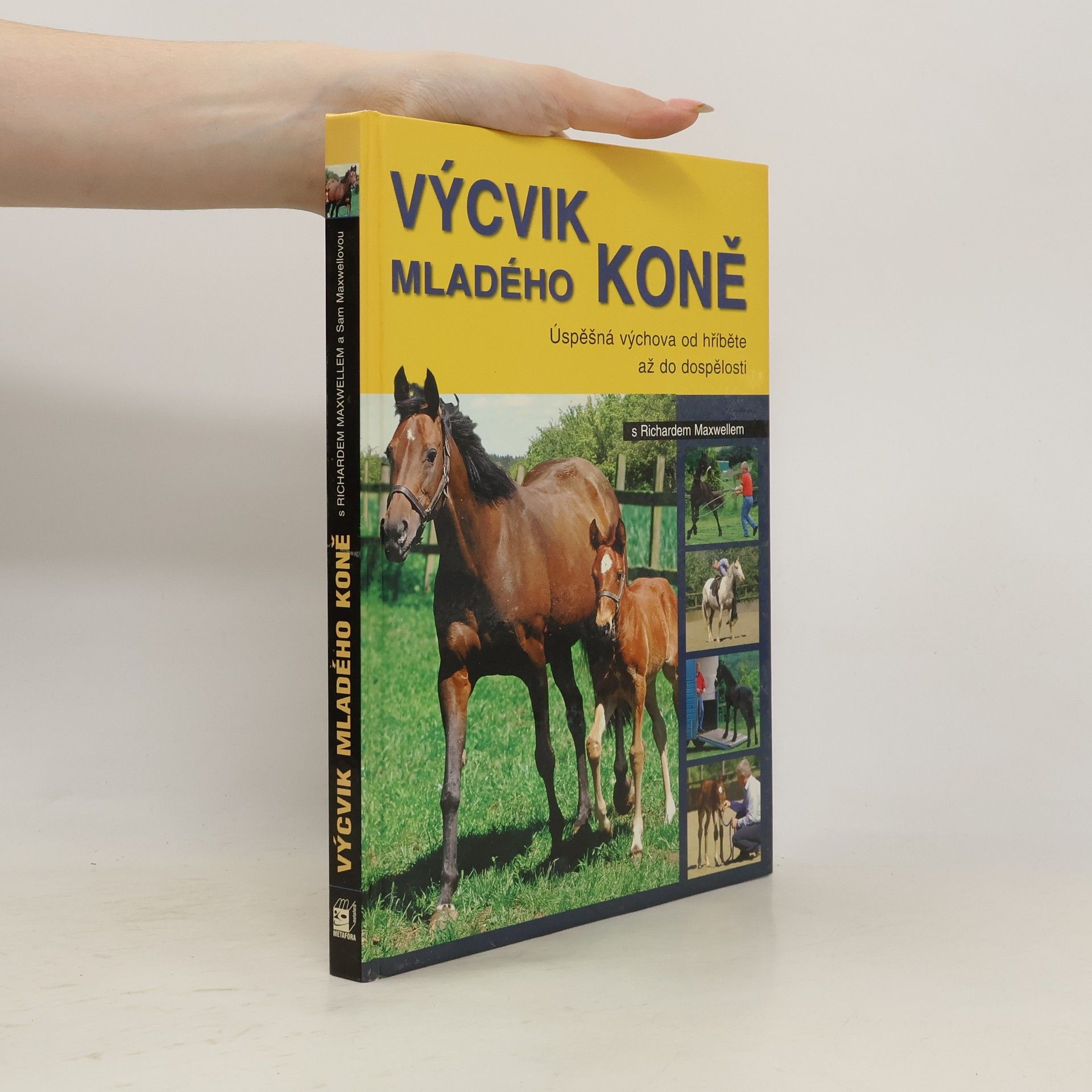Richard Maxwell Výcvik mladého koně s Richardem Maxwellem