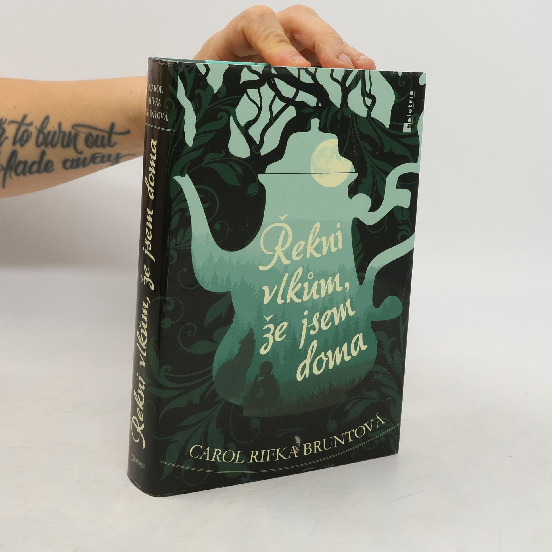 Carol Rifka Brunt Řekni vlkům, že jsem doma