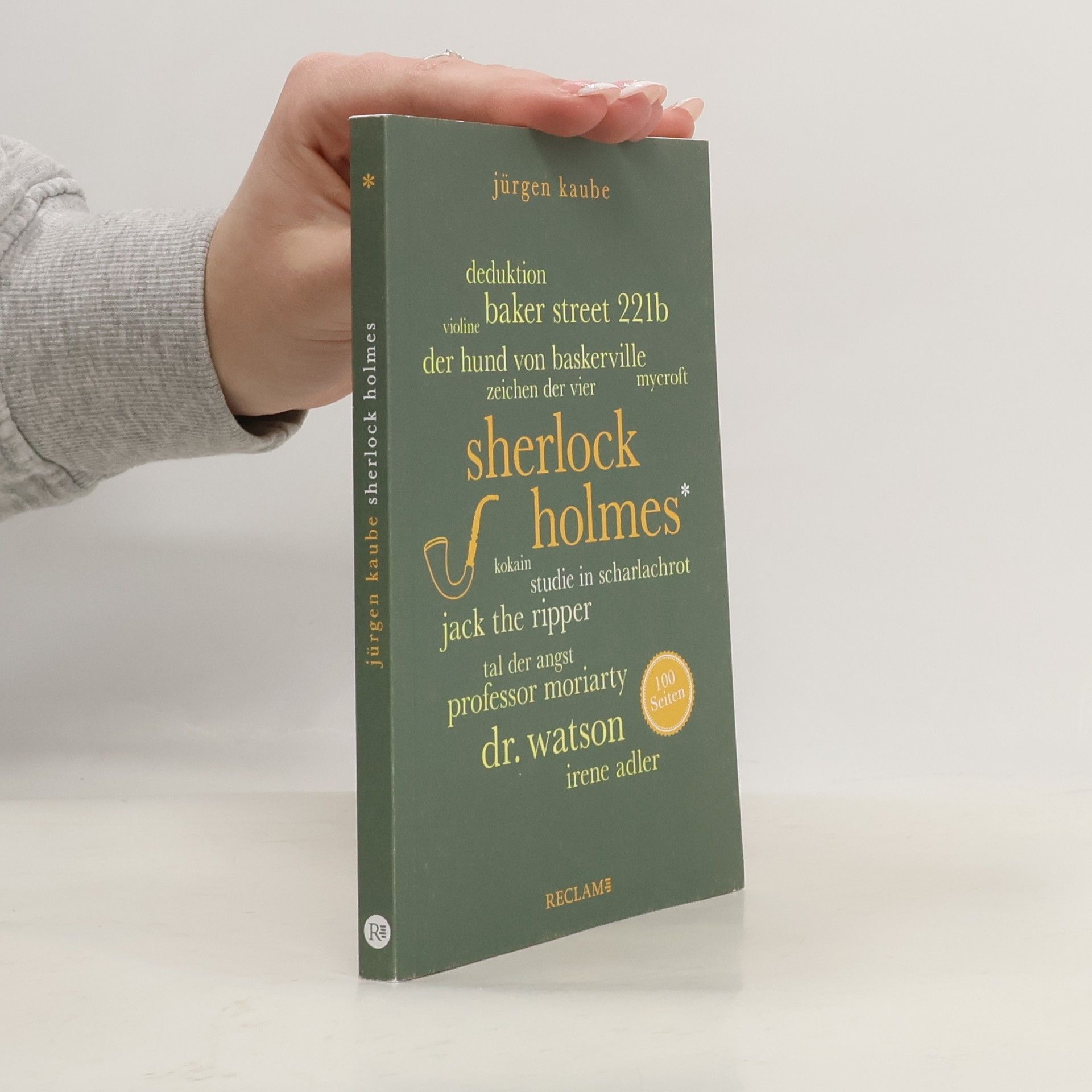 Jürgen Kaube Sherlock Holmes. 100 Seiten