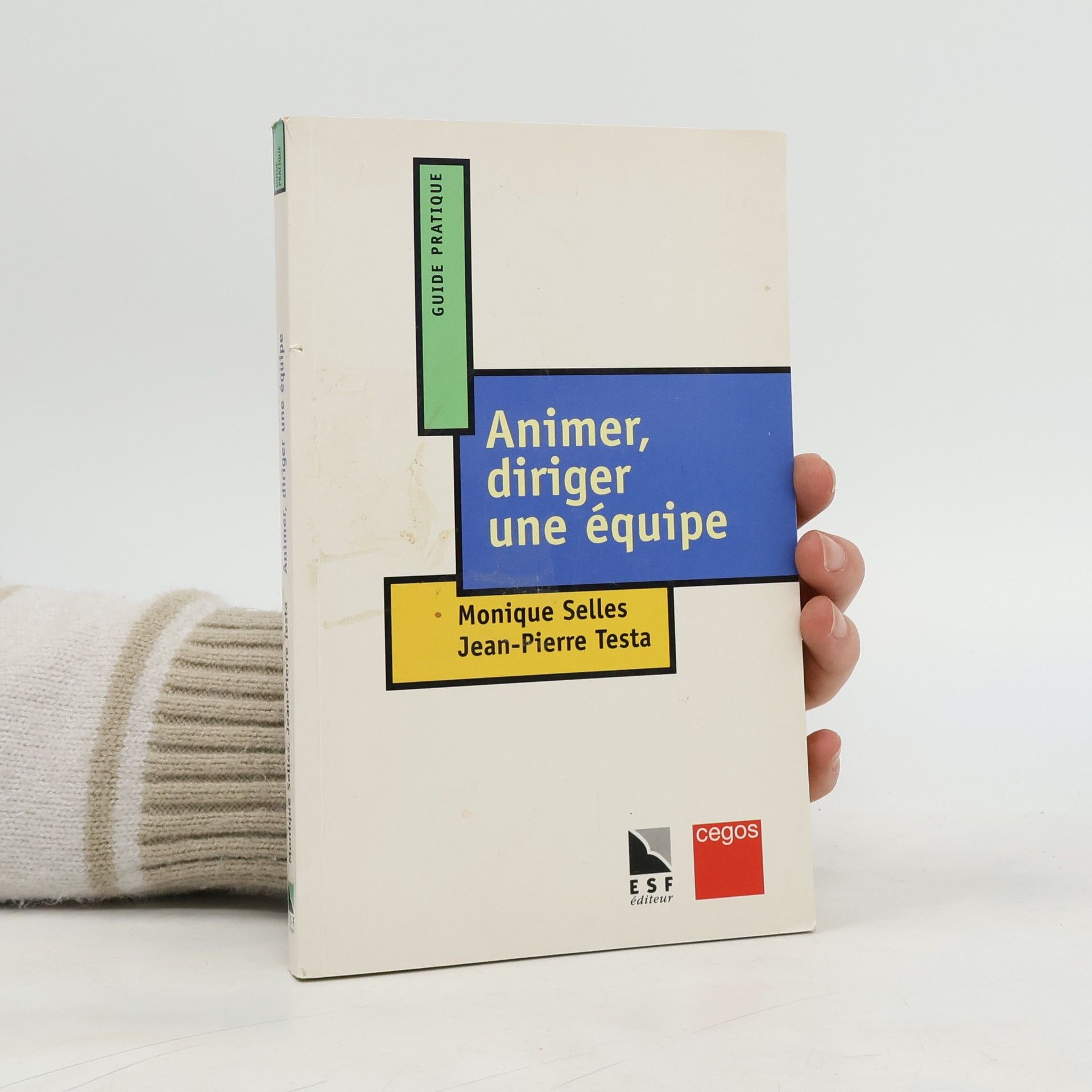 Monique Selles Animer diriger une equipe