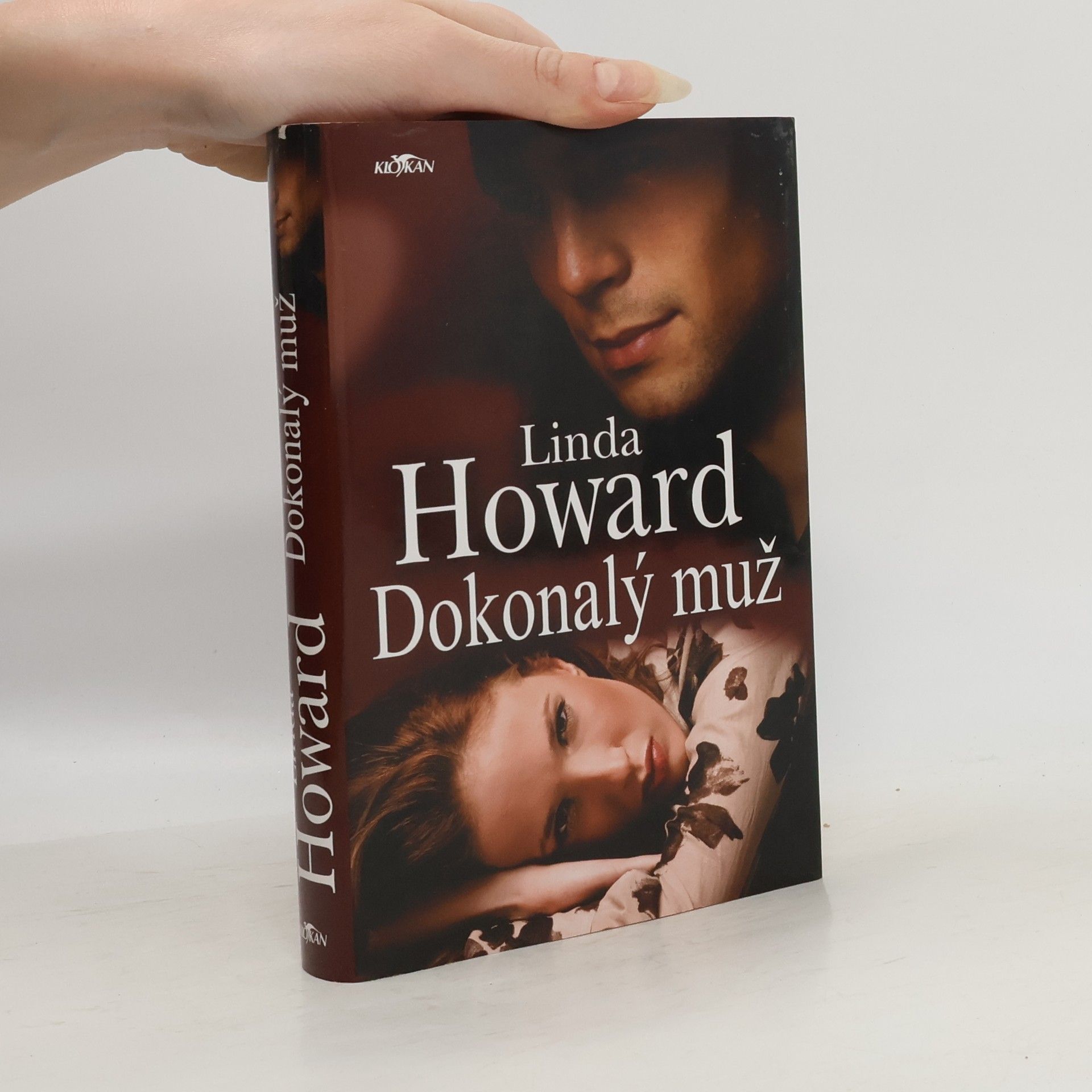 Linda Howard Dokonalý muž