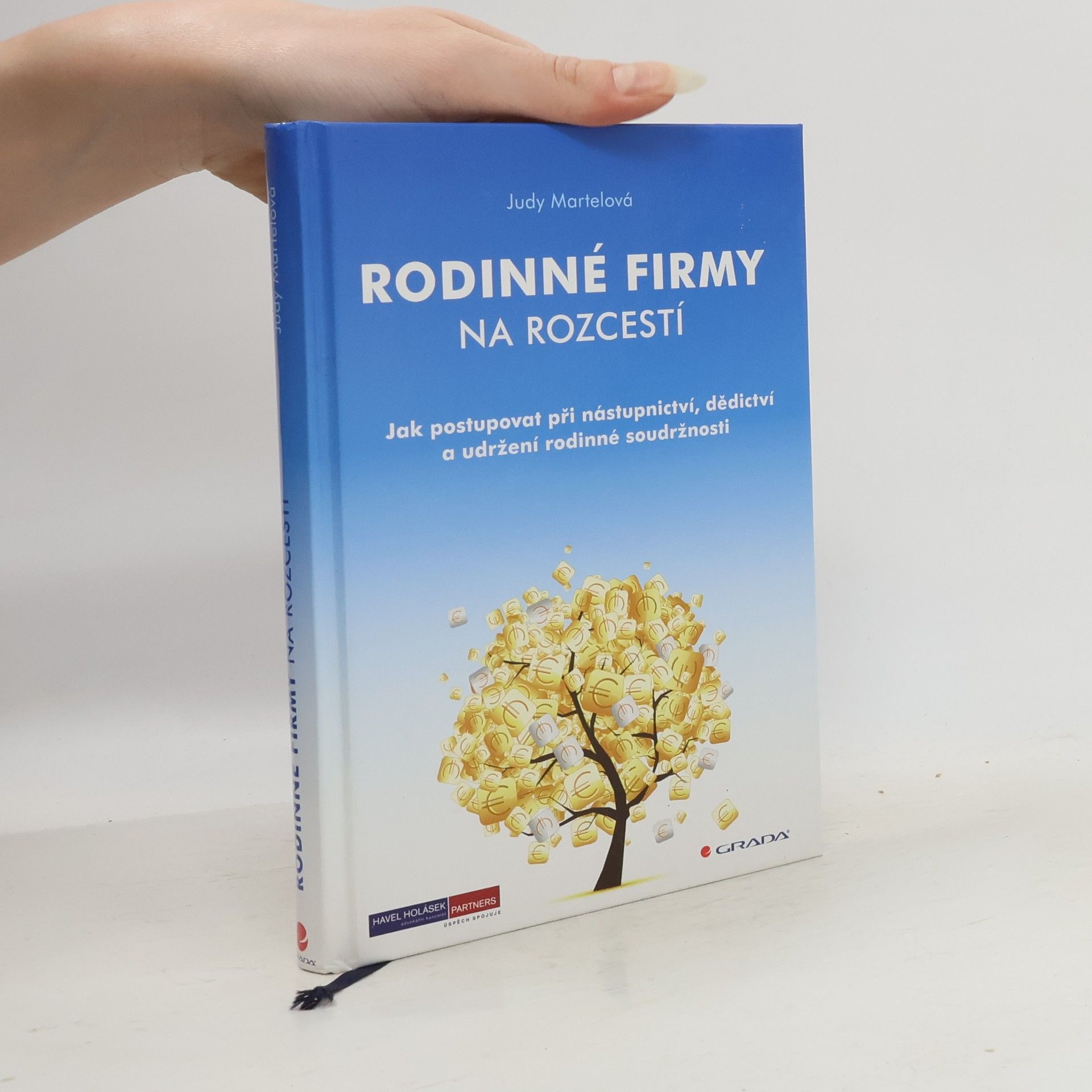 Judy Martel Rodinné firmy na rozcestí