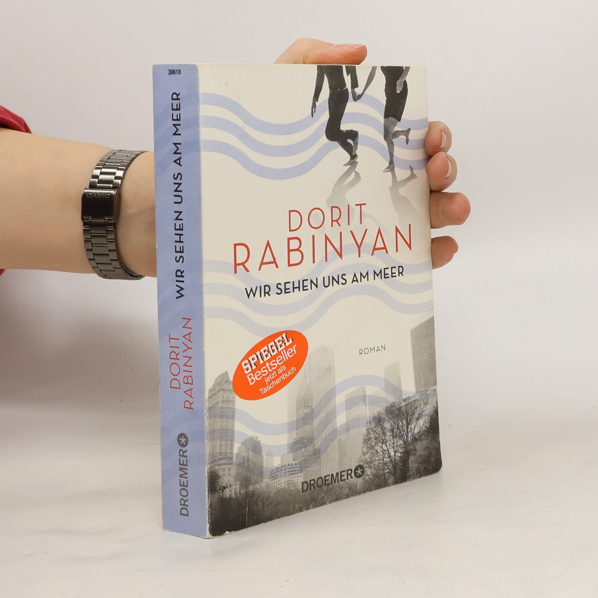 Dorit Rabinyan Wir sehen uns am meer