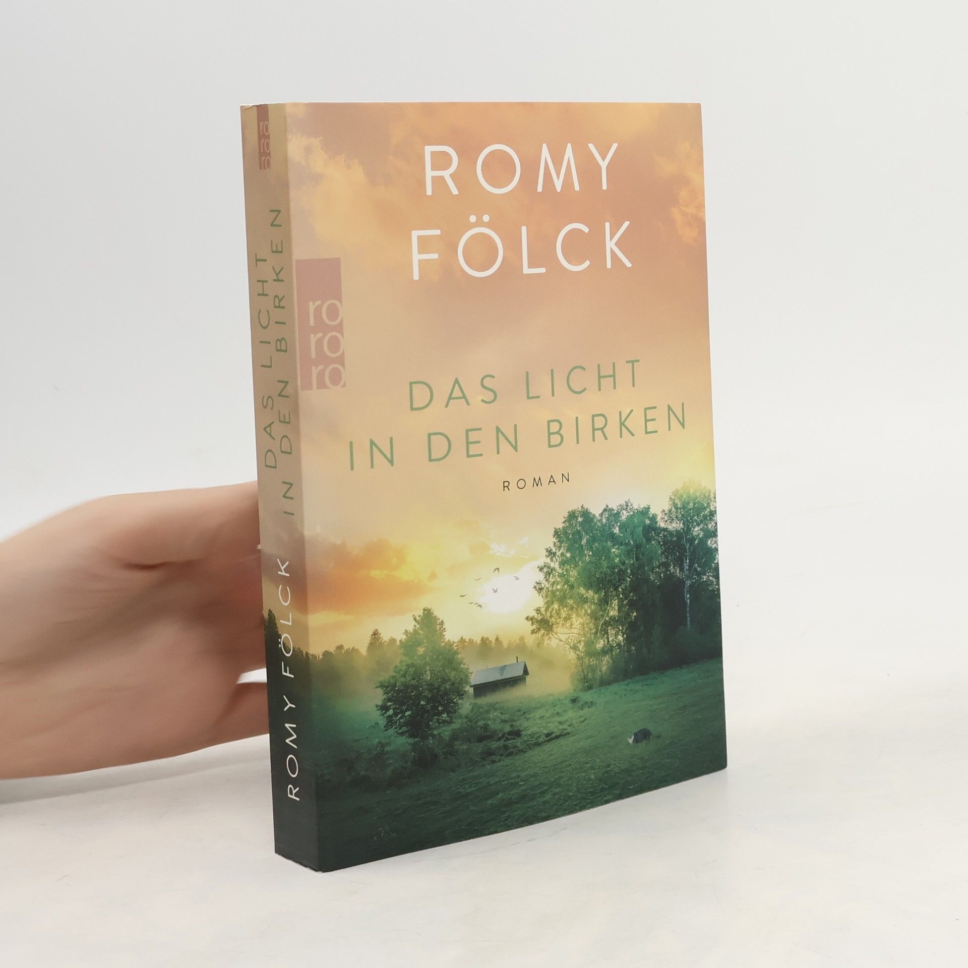 Romy Fölck Das Licht in den Birken