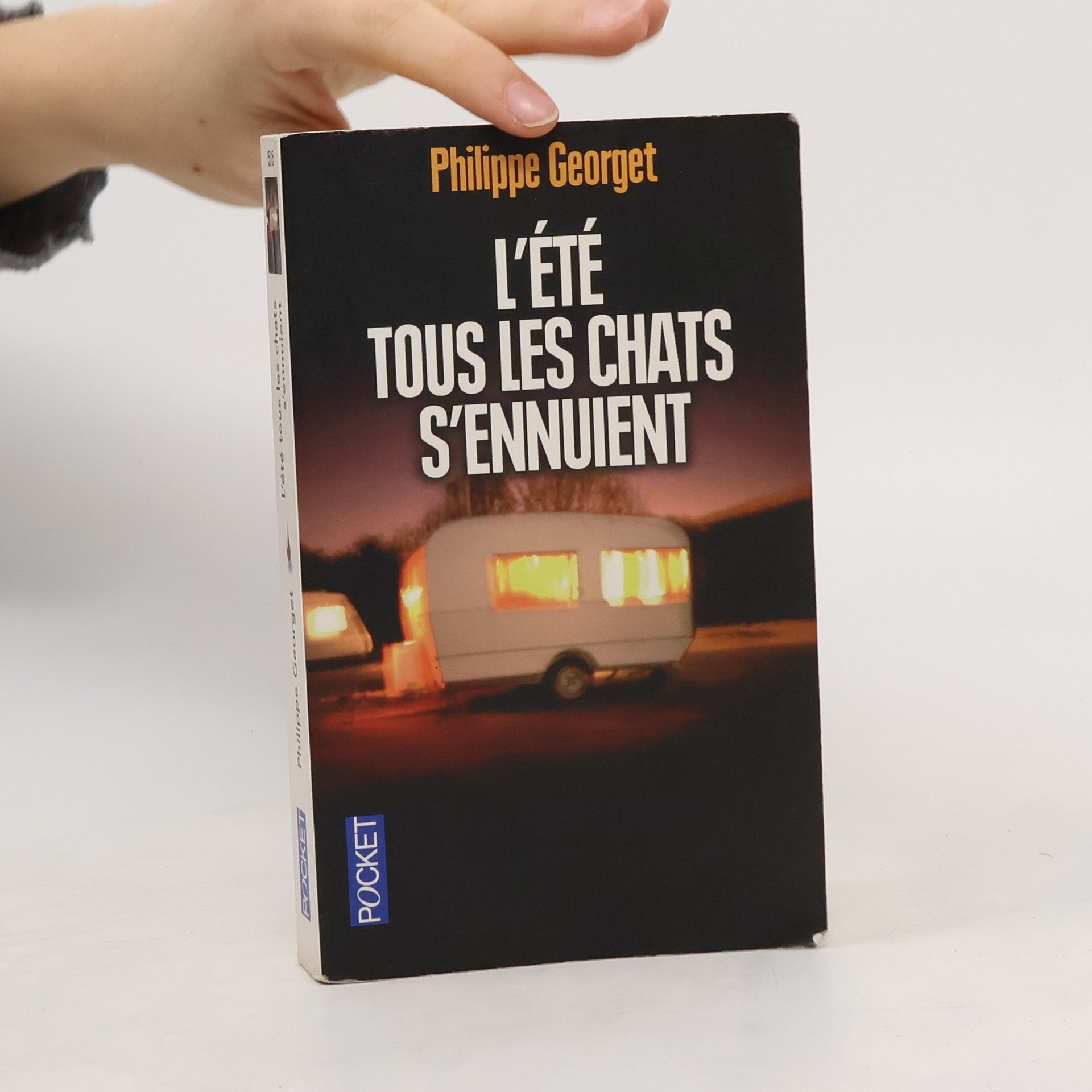 Philippe Georget L'été tous les chats s'ennuient