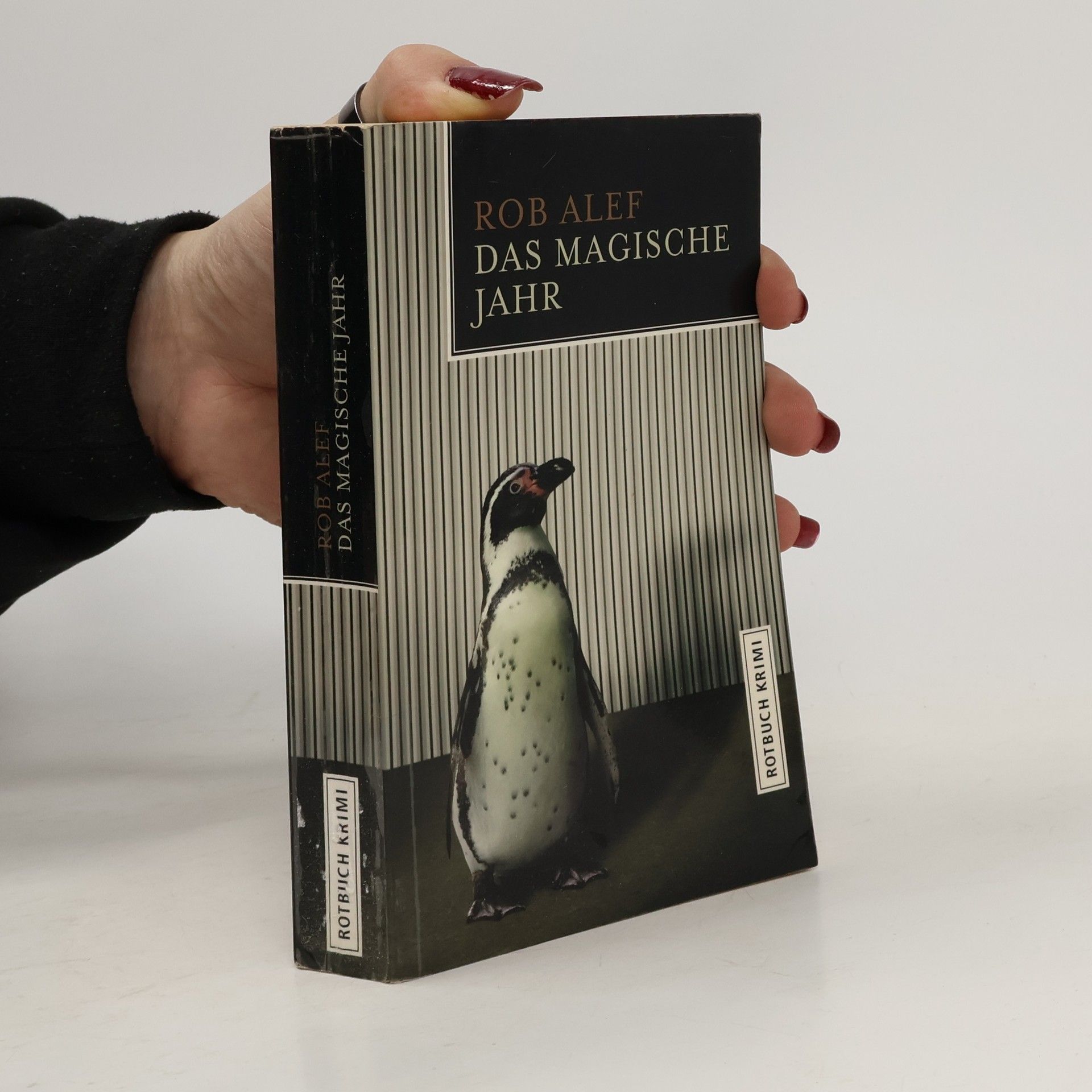 Rob Alef Das magische Jahr