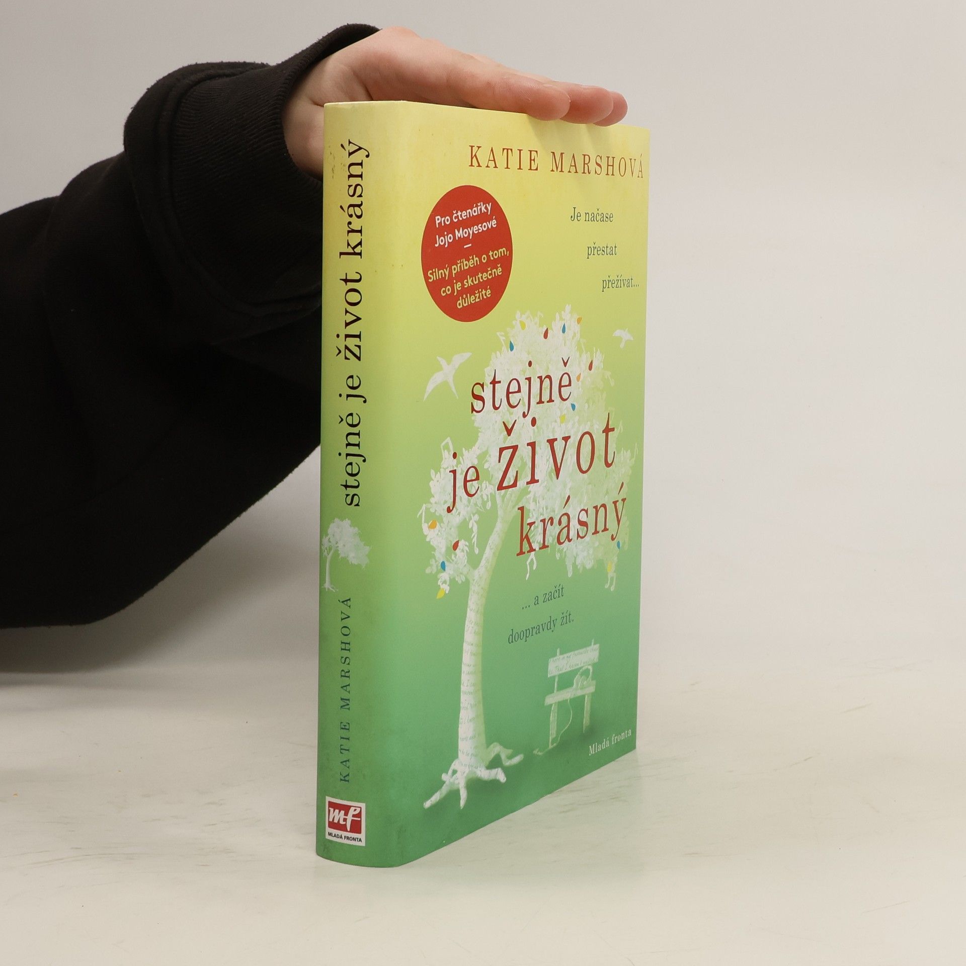 Katie Marsh Stejně je život krásný