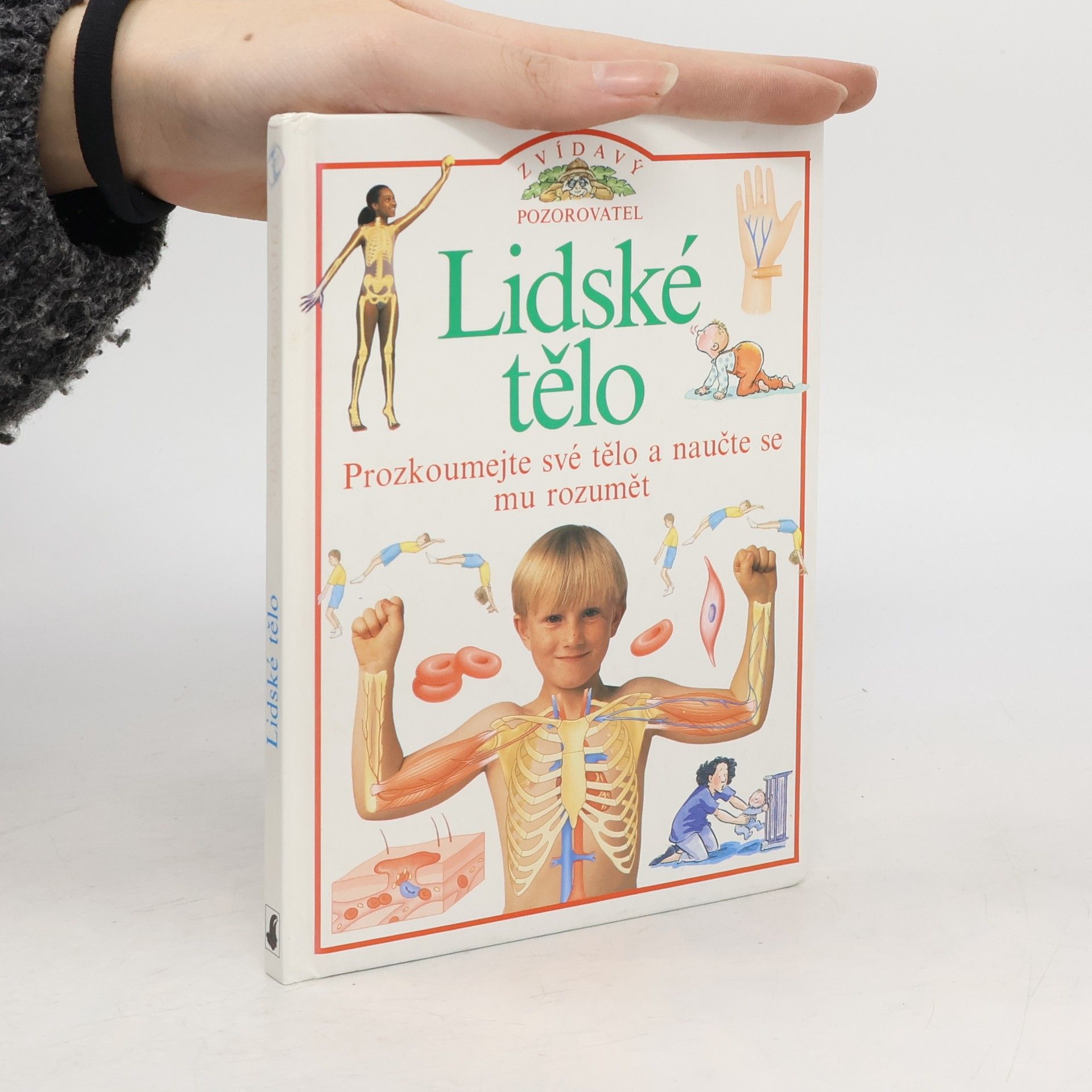 Steve Parker Zvídavý pozorovatel: Lidské tělo