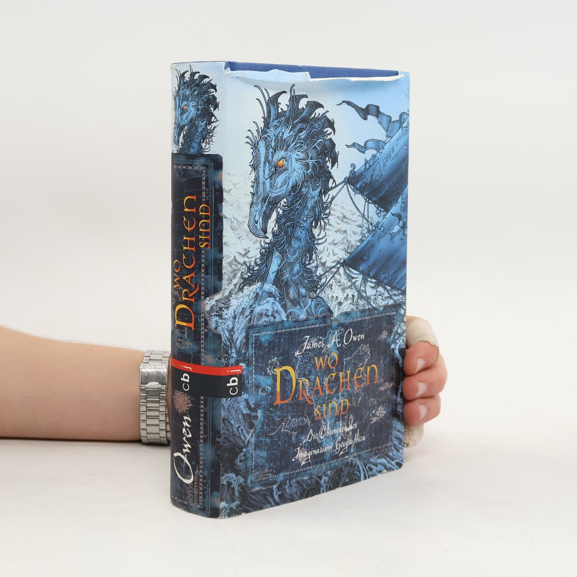 James A. Owen Die Chroniken der Imaginarium Geographica: Wo Drachen sind