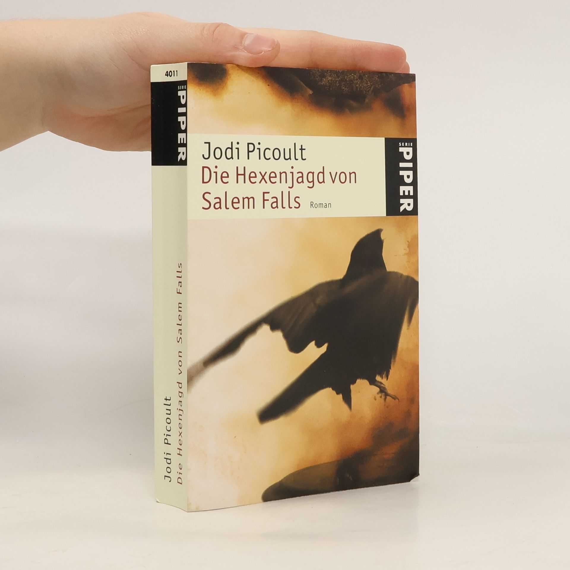 Jodi Picoult Die Hexenjagd von Salem Falls