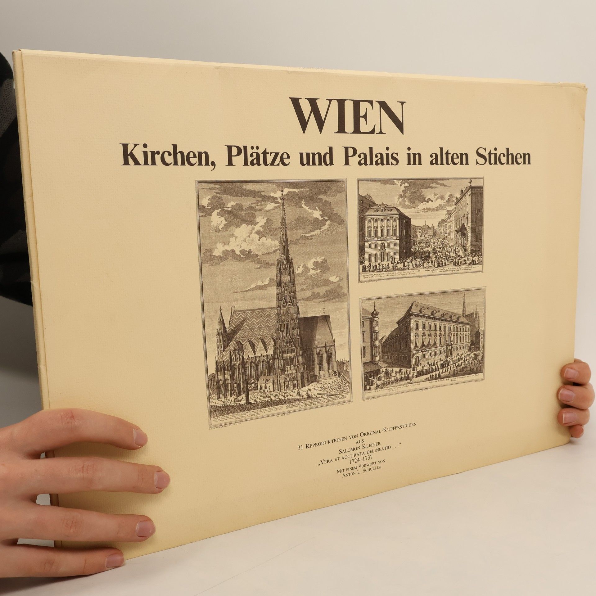 Autorenkollektiv Wien: Kirchen, Plätze und Palais in alten Stichen