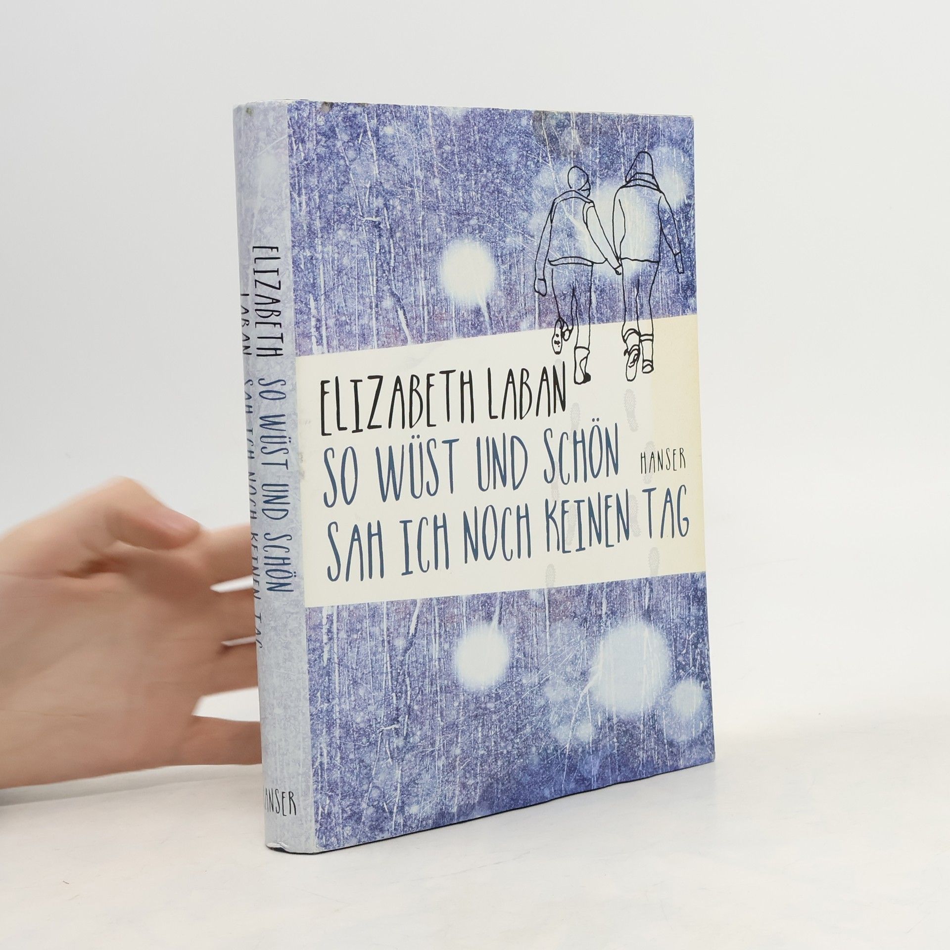 Elizabeth LaBan So wüst und schön sah ich noch keinen Tag