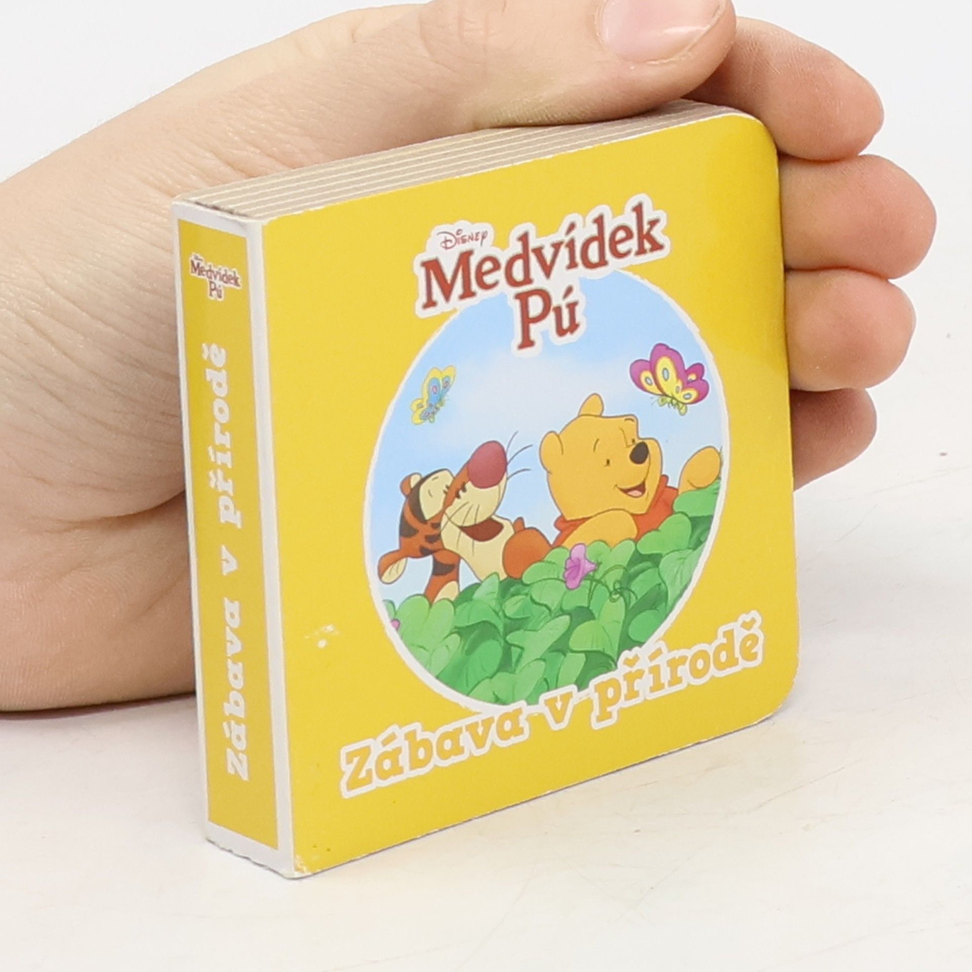 Walt Disney Medvídek Pú. Zábava v přírodě