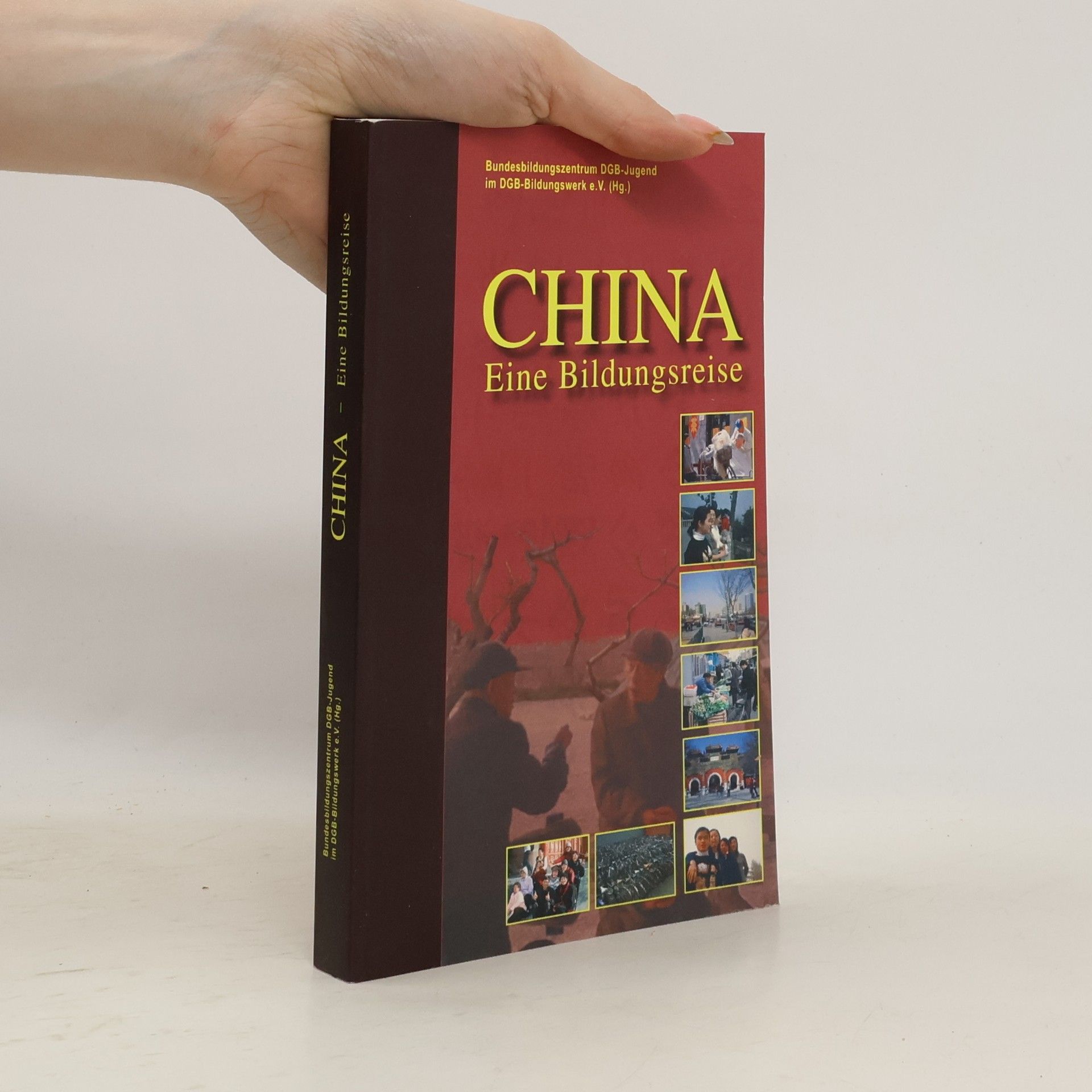 Kolektiv autorů China