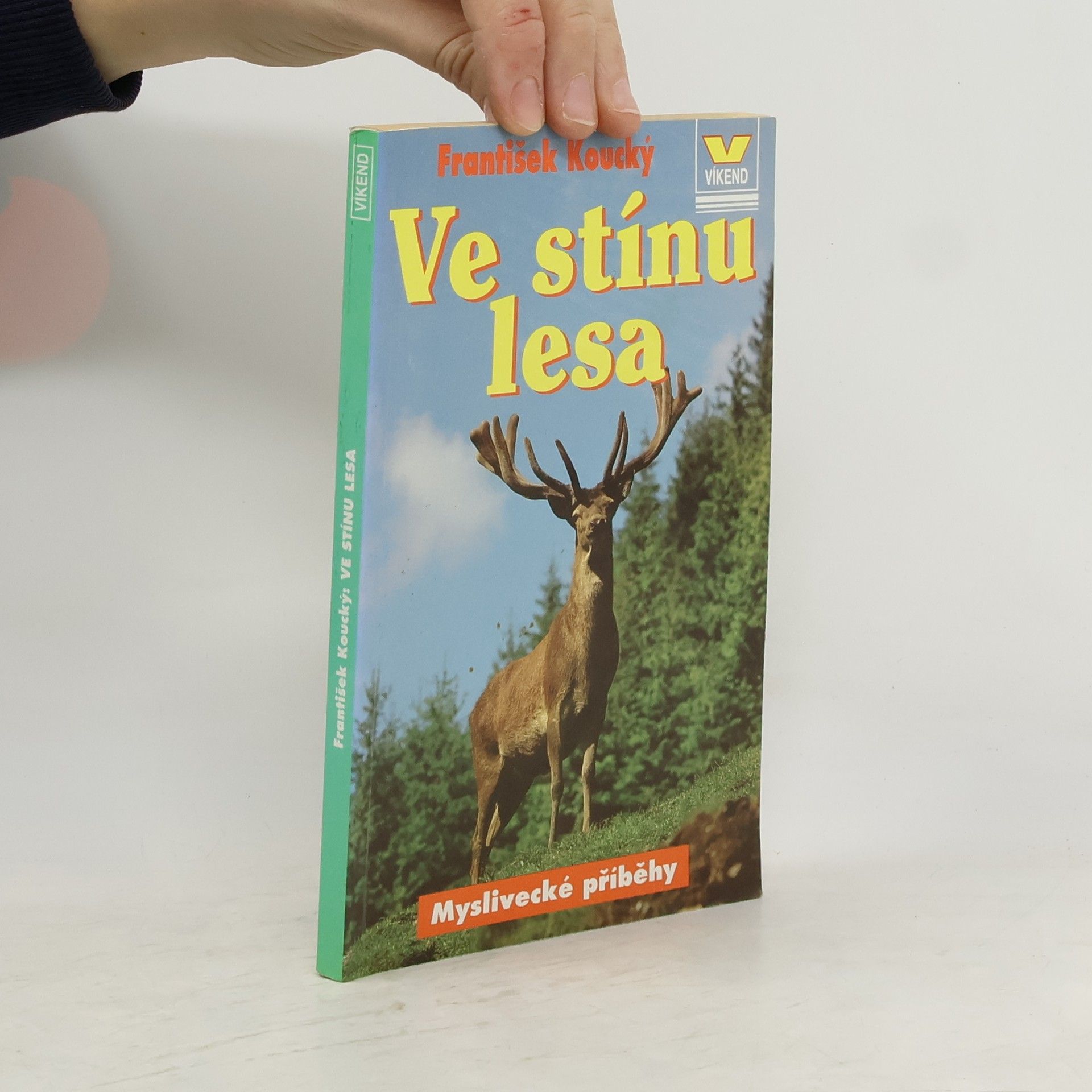 František Koucký Ve stínu lesa