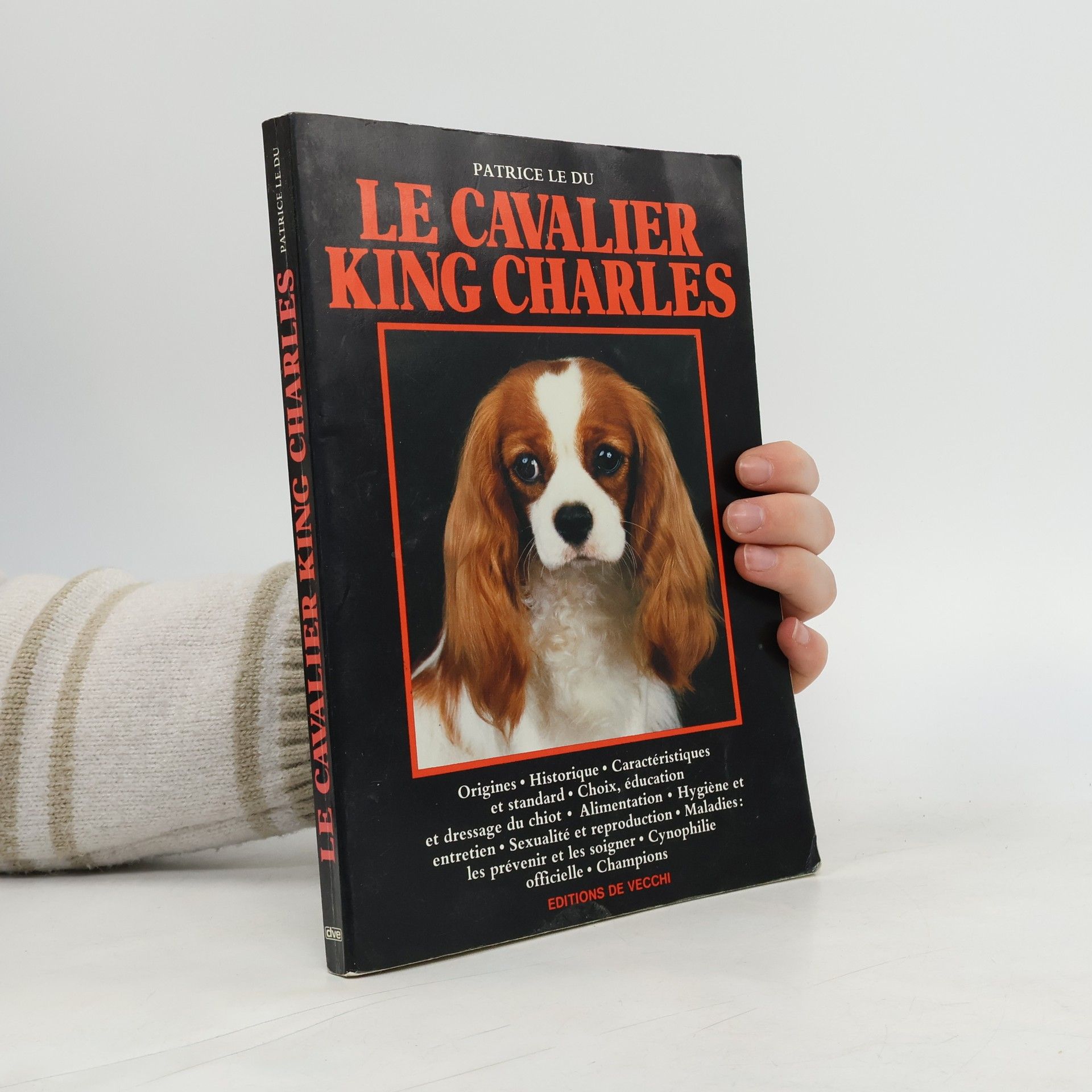 Patrice Le Dû Le cavalier King Charles