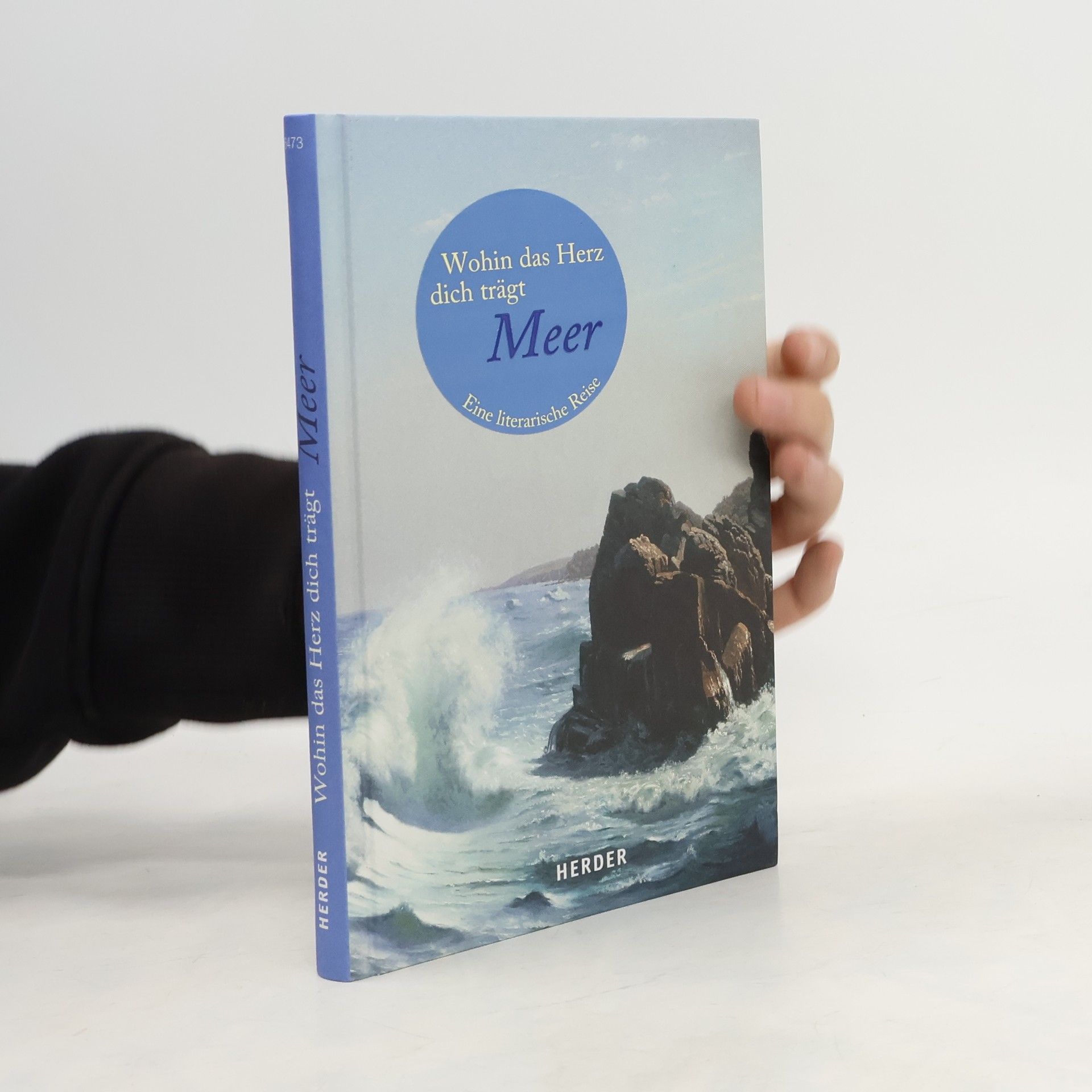 Liane Dirks Wohin das Herz dich trägt - Meer