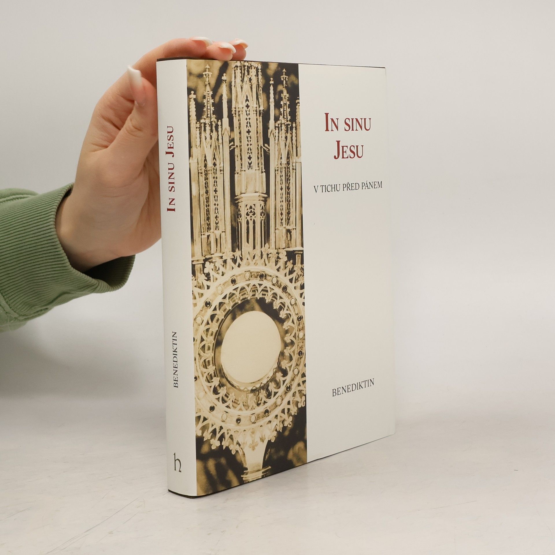 In sinu Jesu : v tichu před Pánem