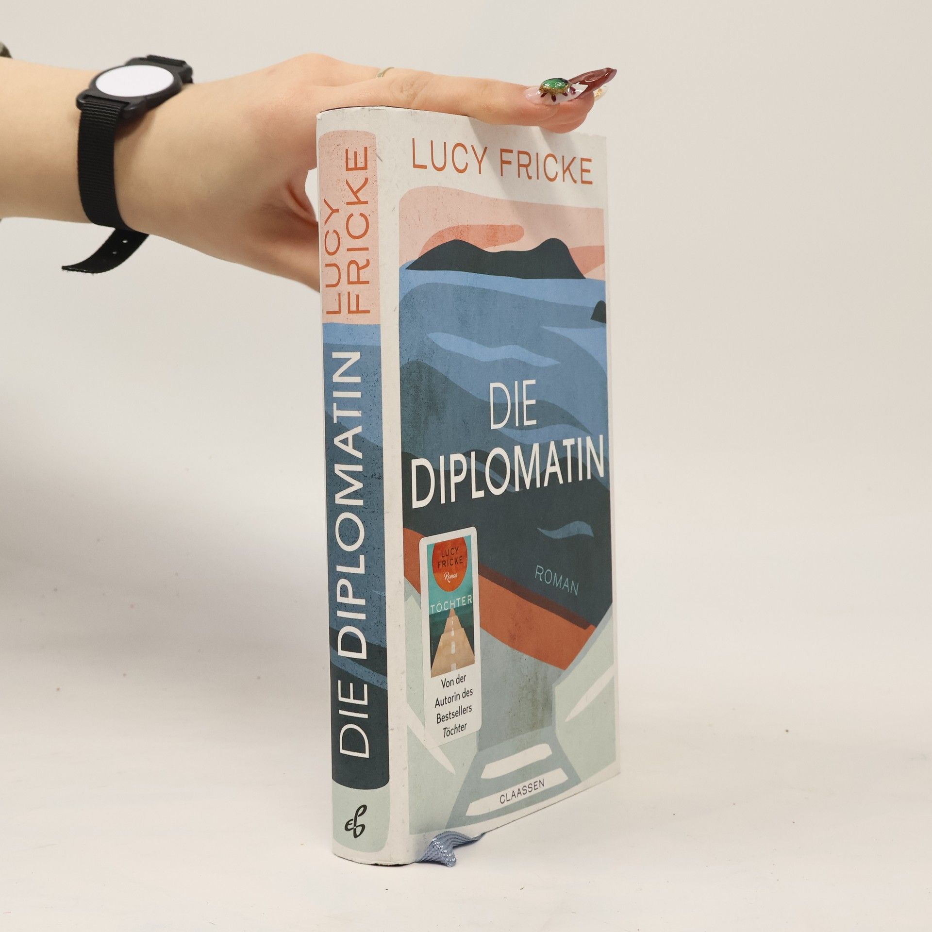 Lucy Fricke Die Diplomatin