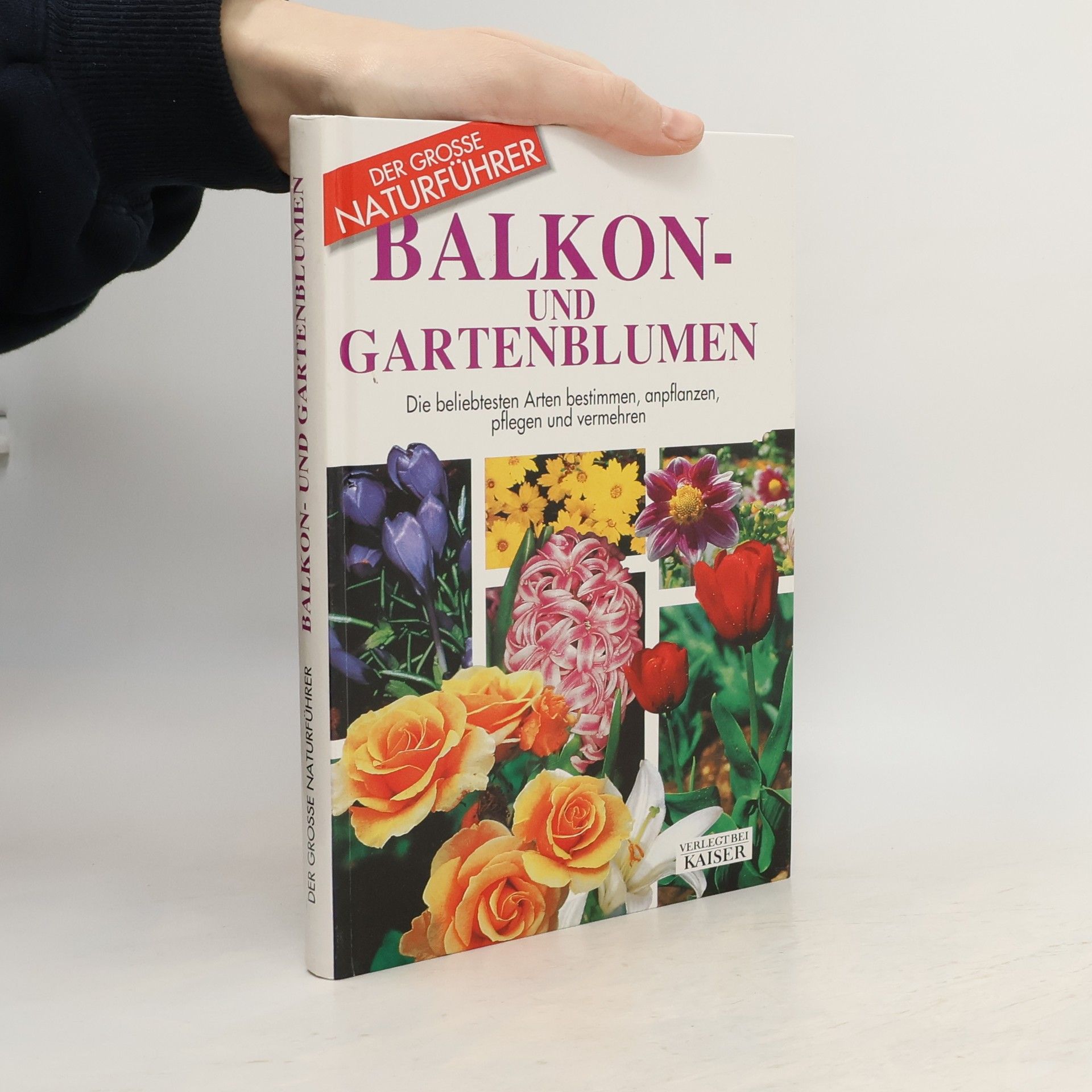 Maria Teresa Della Beffa Balkon- und Gartenblumen