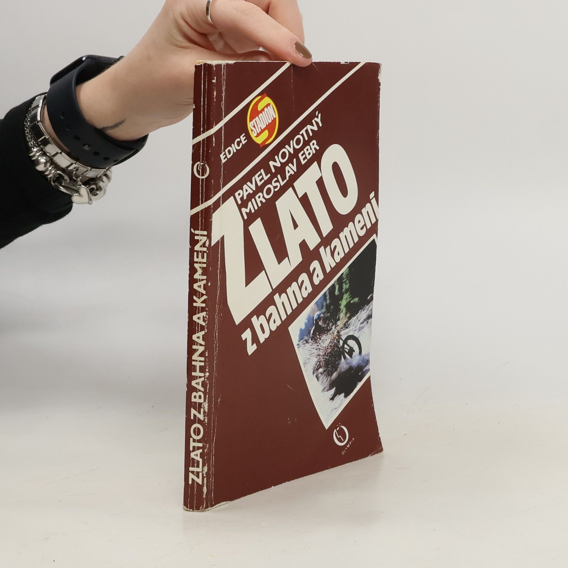 Miroslav Ebr Zlato z bahna a kamení