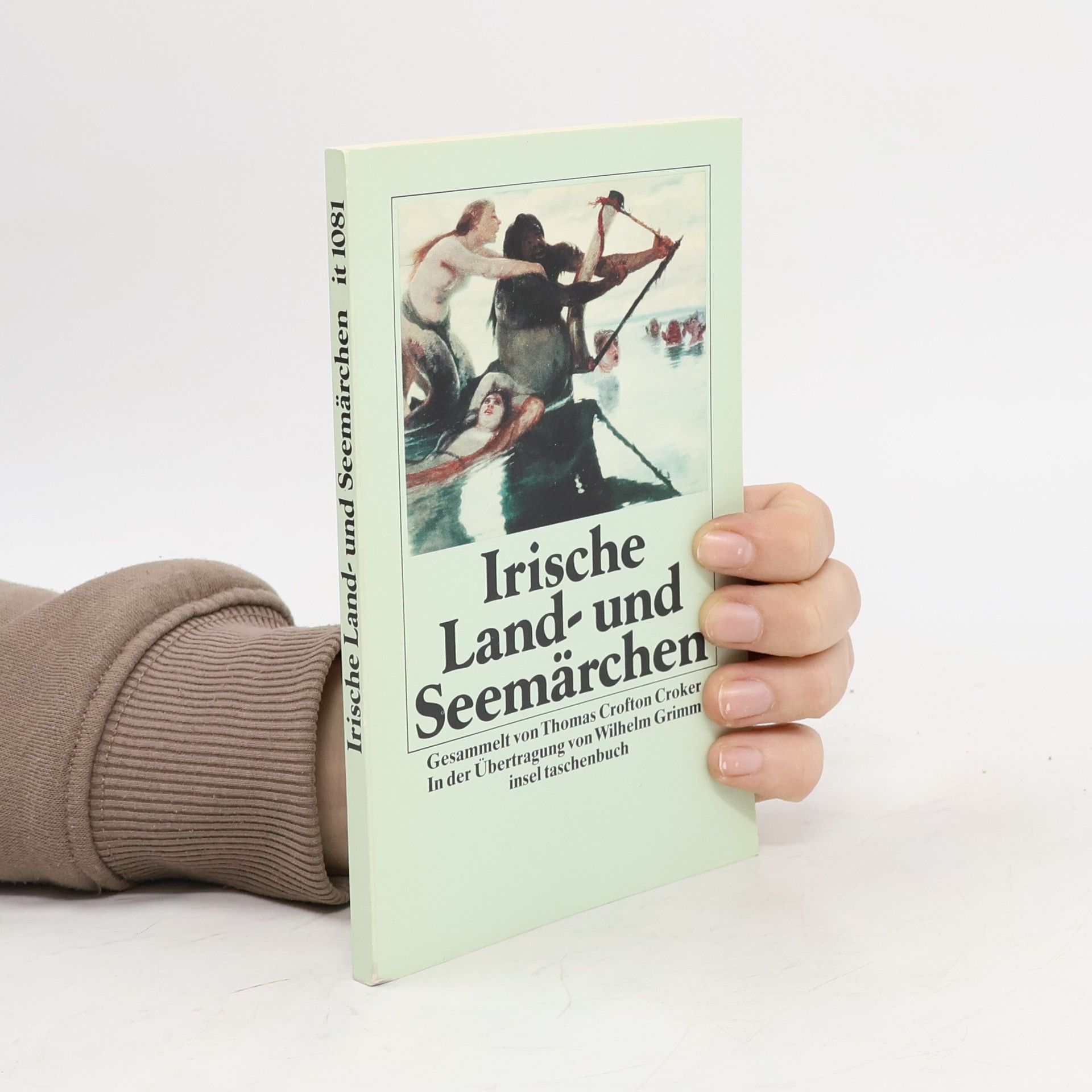 Insel Taschenbuch - 1081: Irische Land- und Seemärchen