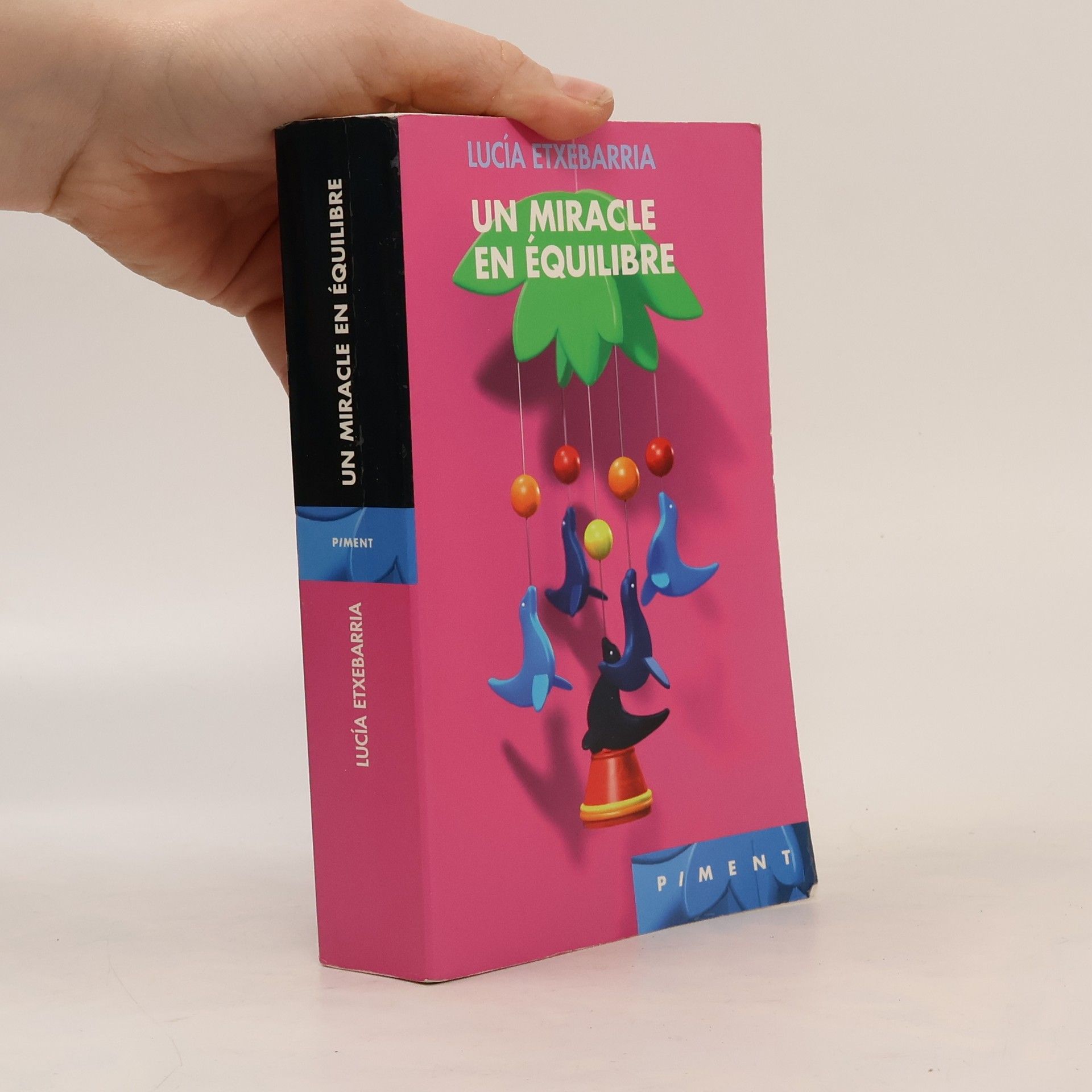 Lucía Etxebarria Un miracle en équilibre