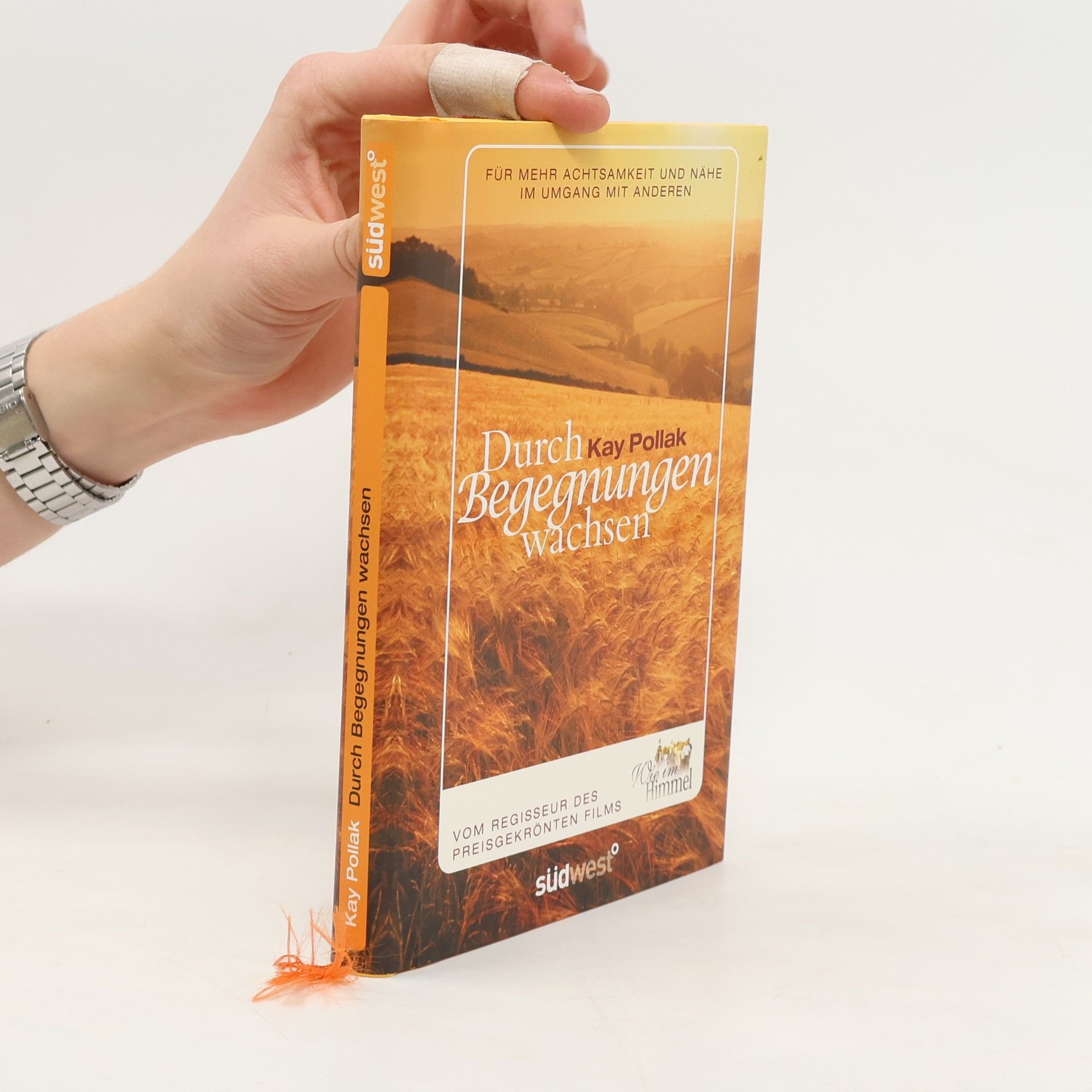 Kay Pollak Durch Begegnungen wachsen