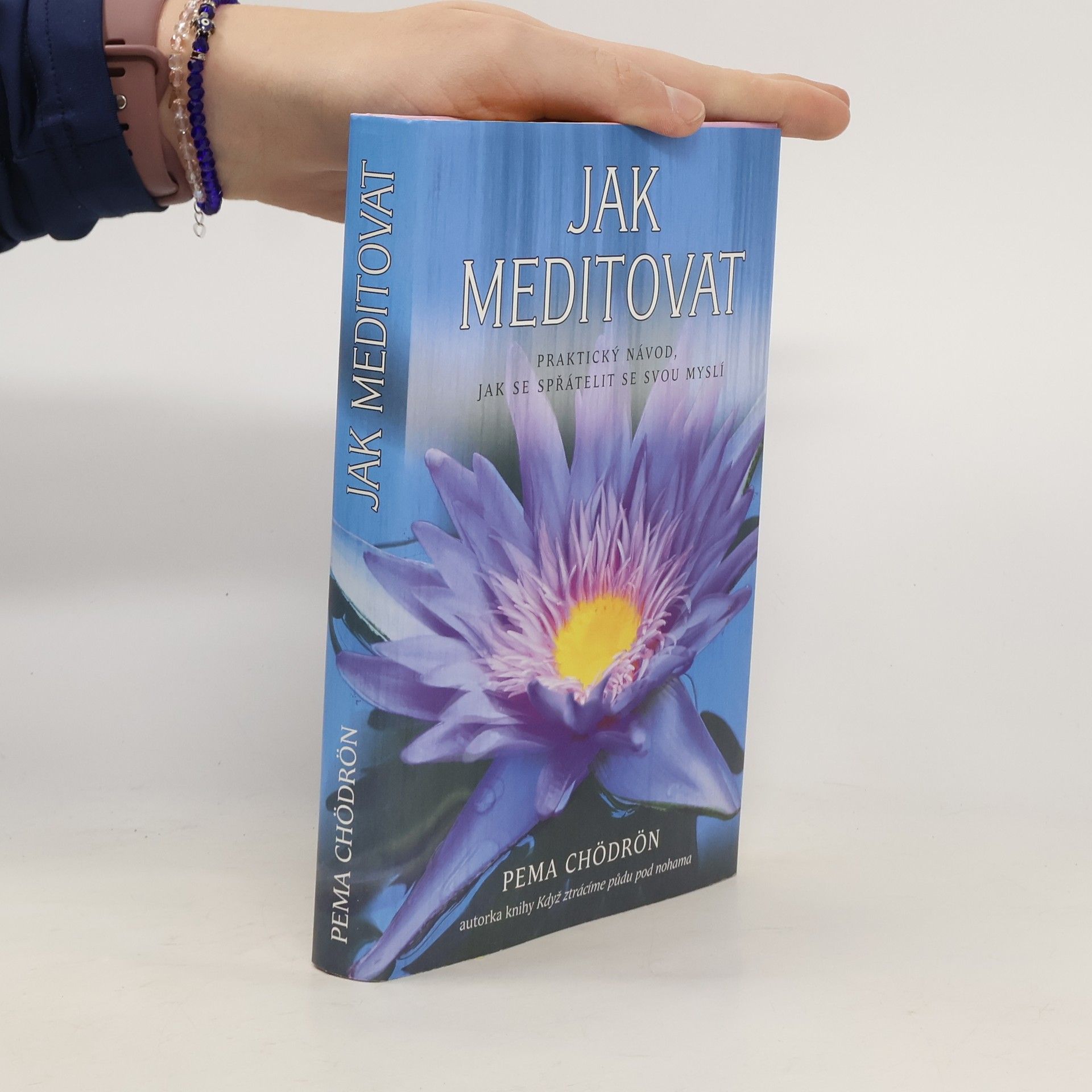 Pema Chödrön Jak meditovat